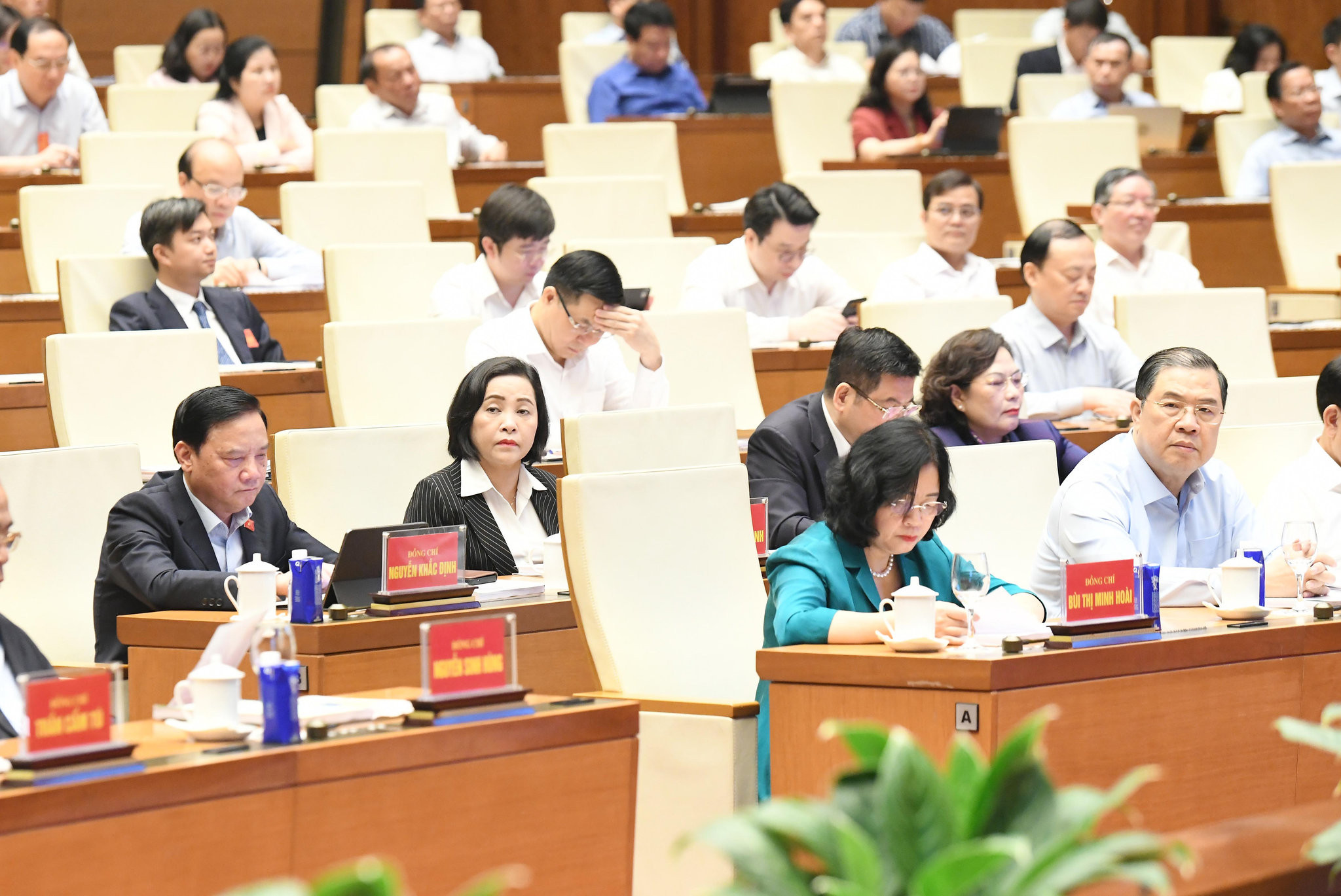 cac-dai-bieu-du-hoi-nghidsc_8101.jpg