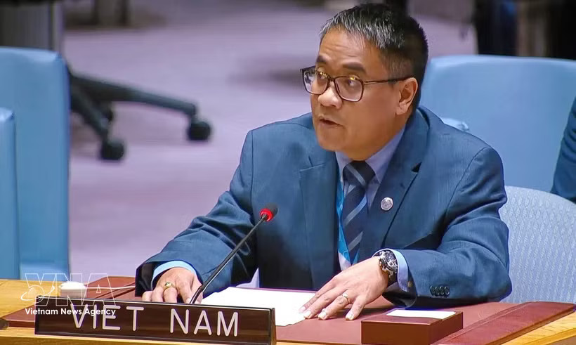 Minister Counsellor Nguyen Hai Luu, Deputy Permanent Representative of Vietnam to the UN. (Photo: VNA)