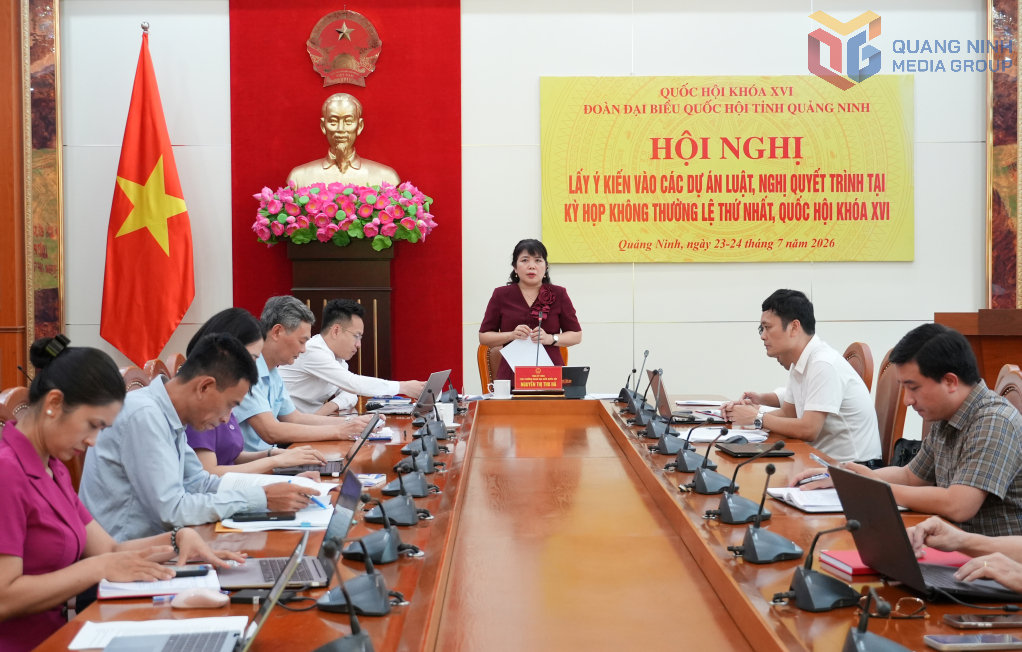 Đồng chí Nguyễn Thị Thu Hà, Phó Trưởng Đoàn ĐBQH tỉnh, phát biểu tại hội nghị.