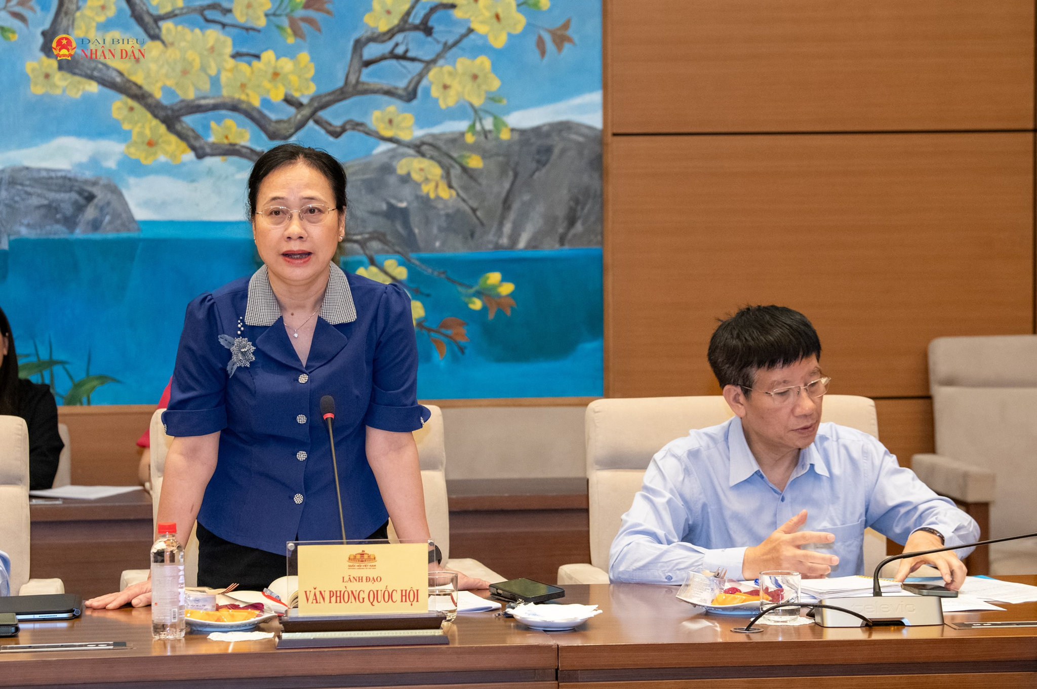 Phó chủ nhiệm VPQH Nguyễn Thị Thúy Ngần