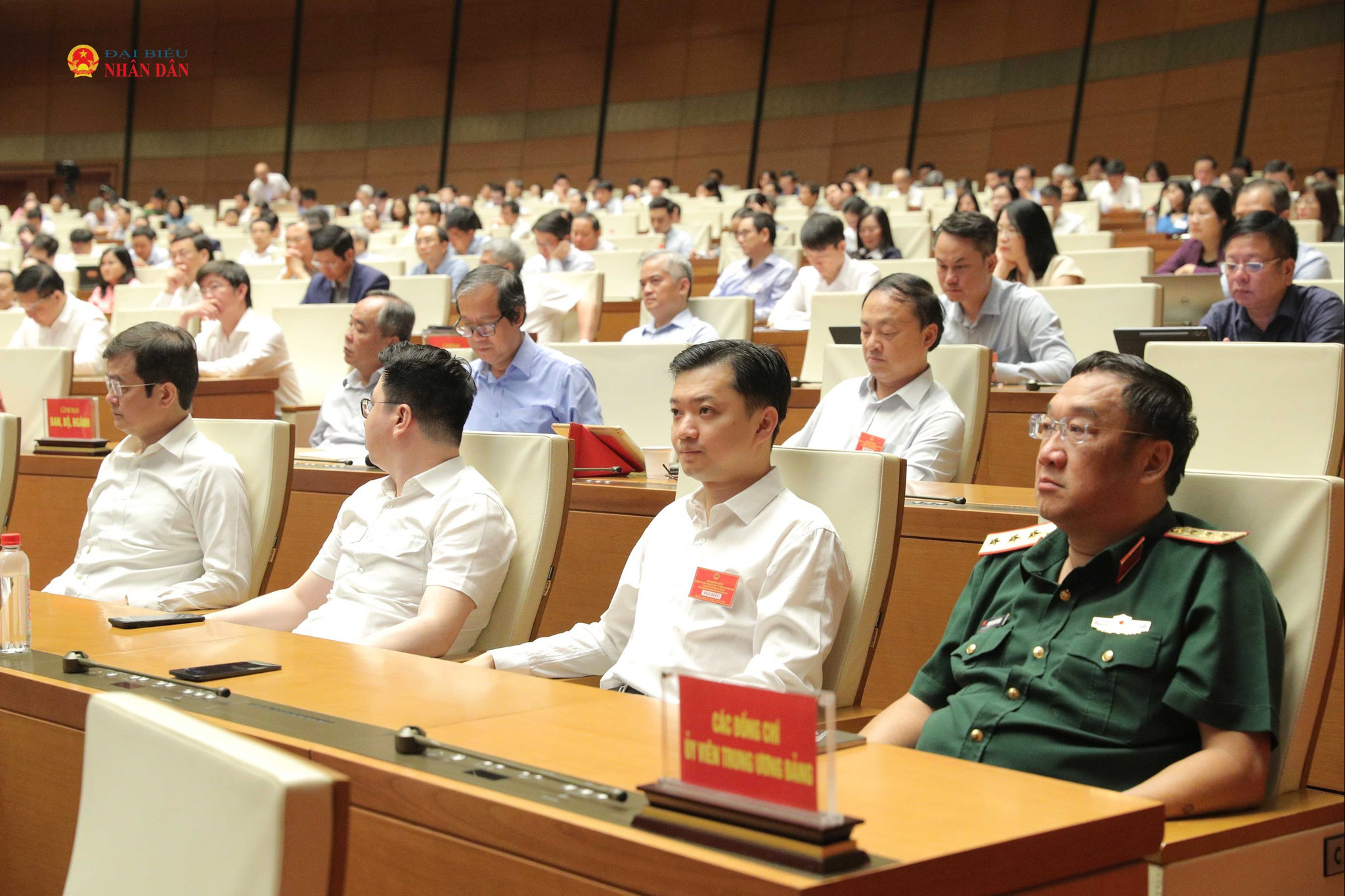 Các đại biểu dự 3