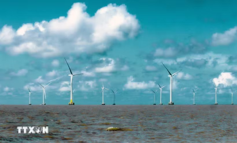 An offshore wind farm in Ca Mau province. With considerable offshore wind resources, estimated at around 600 GW of technical potential, Vietnam boasts favourable conditions to integrate hydrogen production with offshore wind projects. (Photo: VNA)