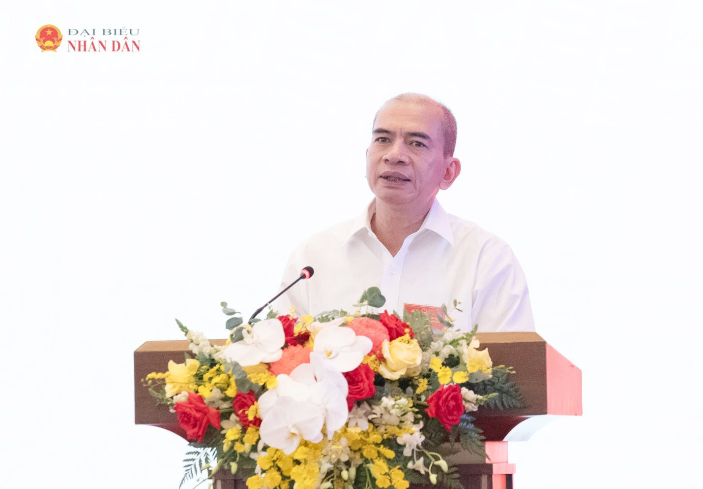 Phó Chủ tịch Viện Hàn lâm Khoa học, Công nghệ Việt Nam Trần Tuấn Anh . Ảnh- Lâm Hiển