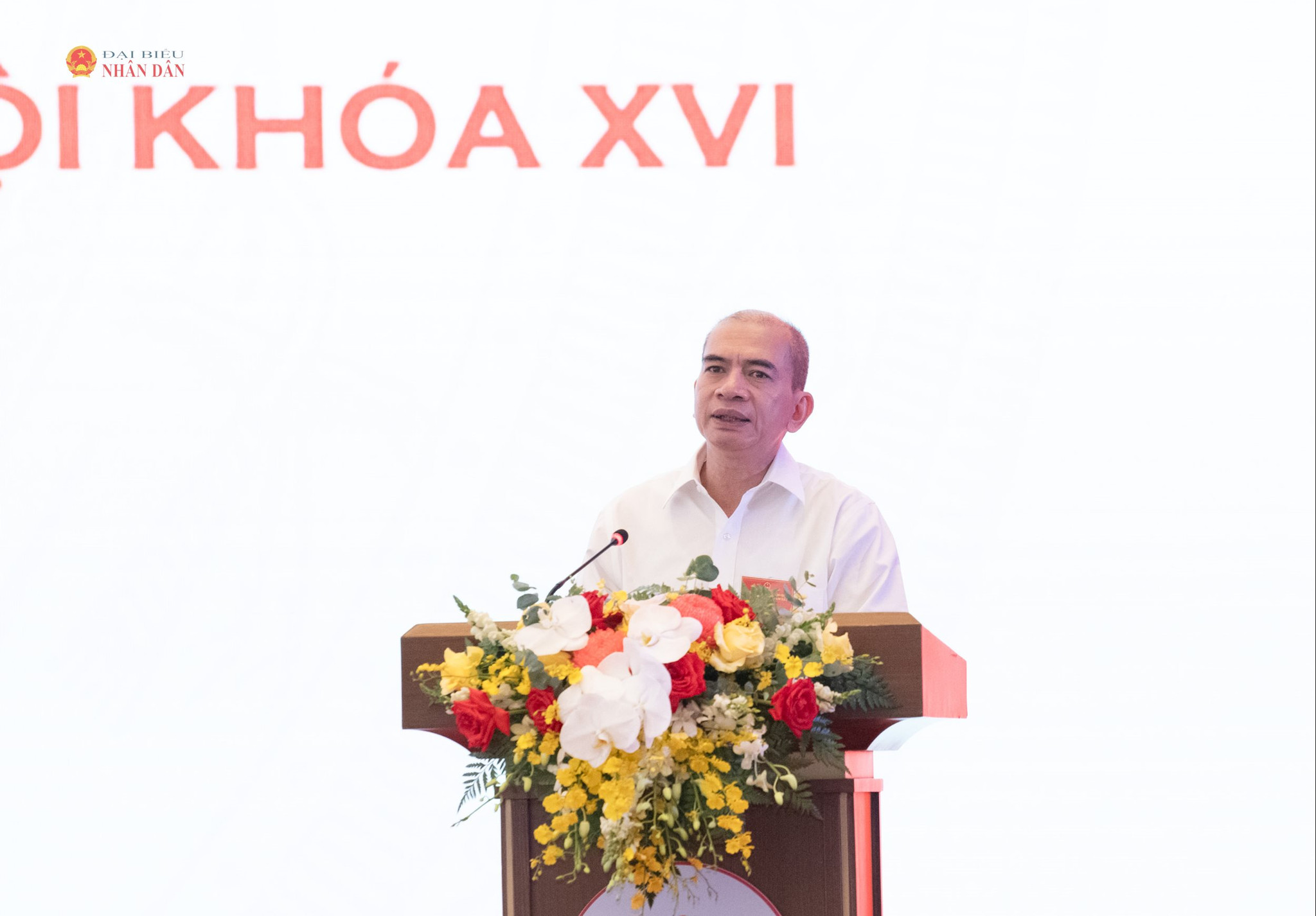 Phó chủ tịch Viện hàn lâm Khoa học, công nghệ Việt Nam Trần Tuấn Anh.1