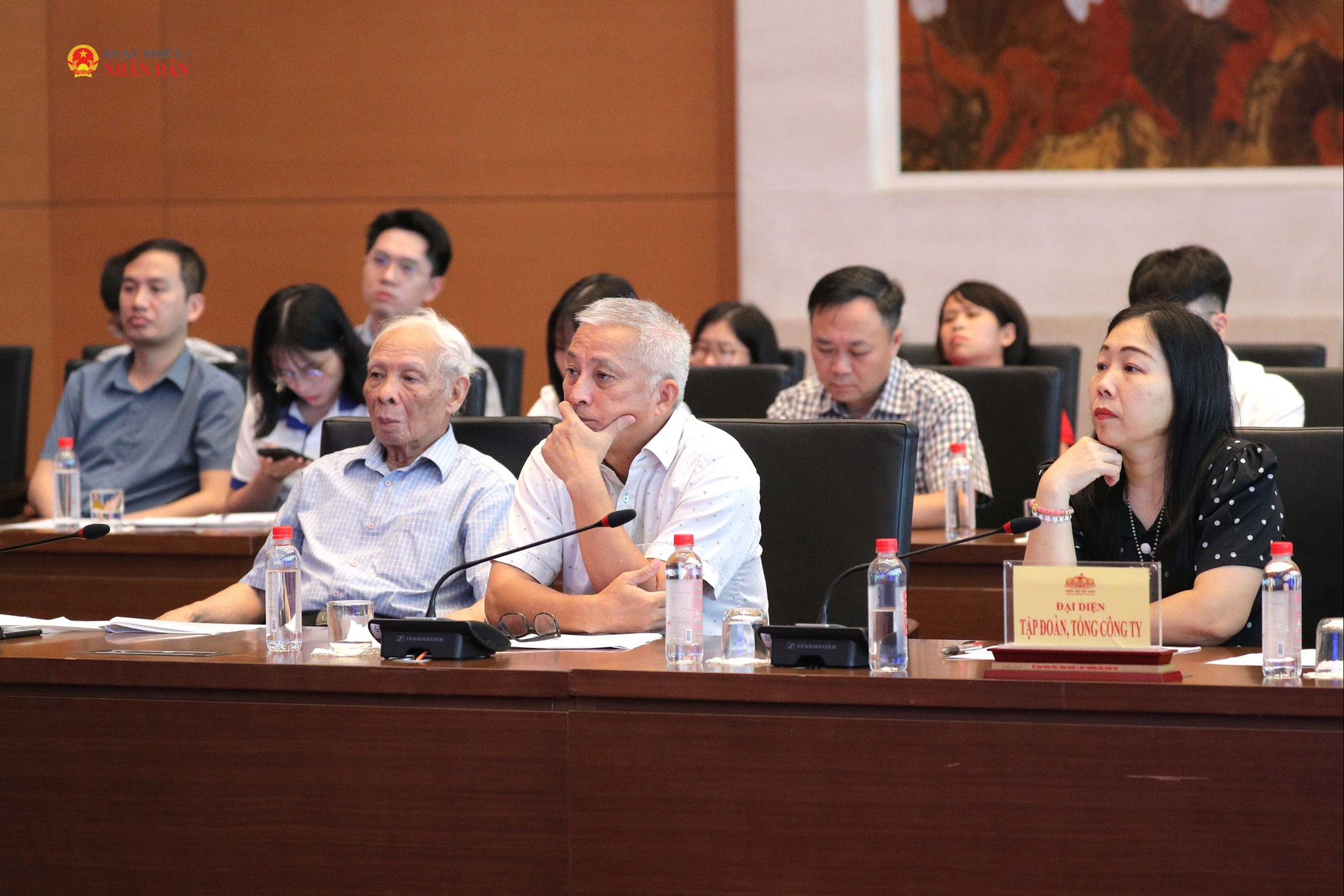 Các đại biểu dự