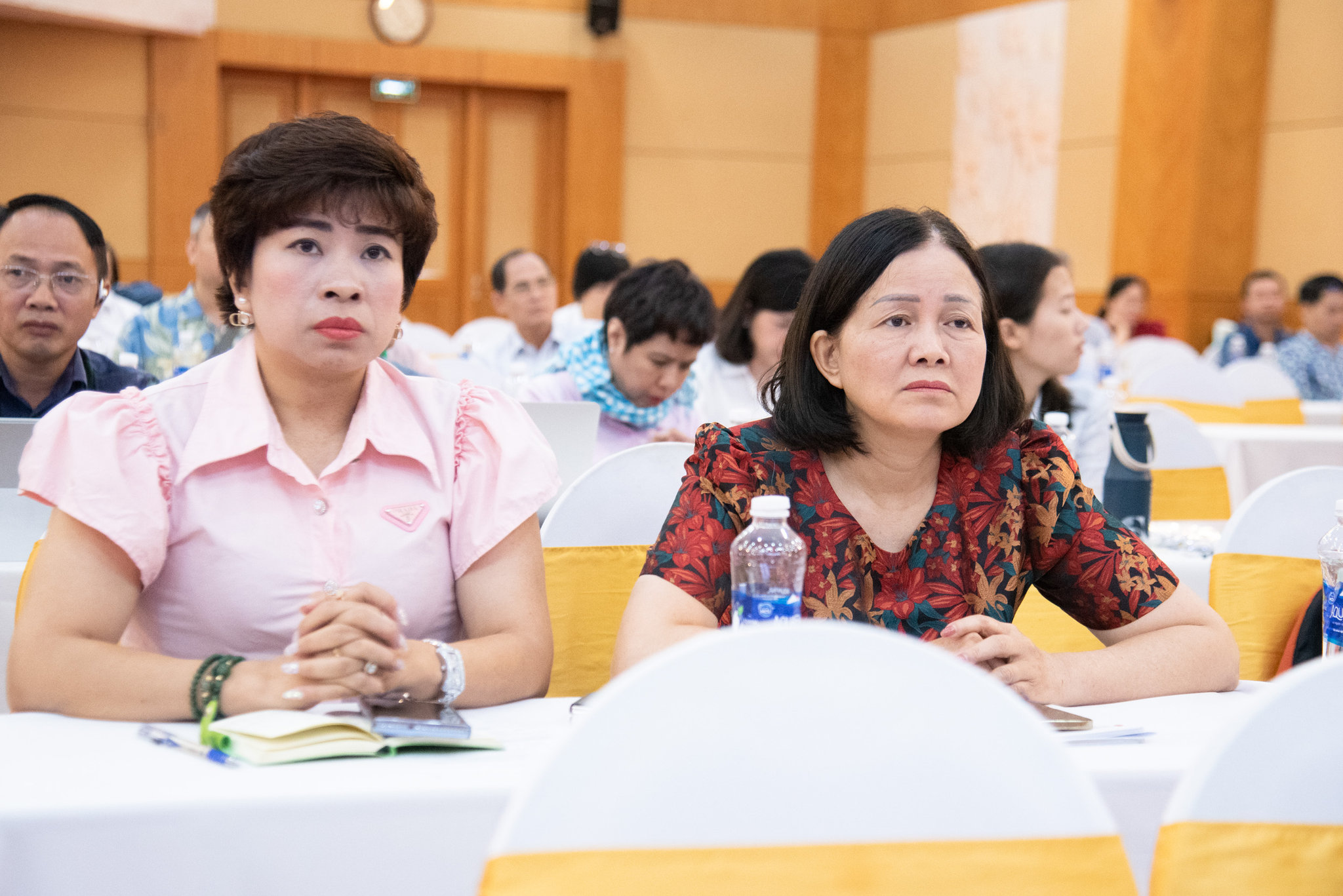 Các đại biểu tham dự Hội nghị (6)