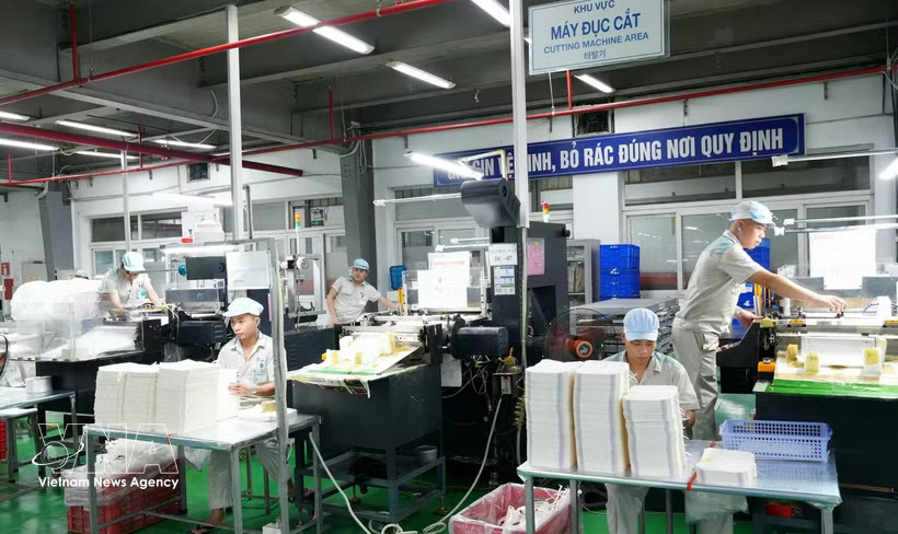 The production line at Thang Long Packaging Production and Import-Export Joint Stock Company meets the demand of a wide range of domestic and international customers. (Photo: VNA) 
