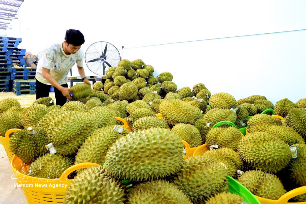 vnanet-potal-10-su-kien-noi-bat-cua-viet-nam-nam-2025-do-binh-chon-su-kien-6-tang-truong-kinh-te-viet-nam-nam-trong-nhom-dan-dau-chau-a-8490698.jpg