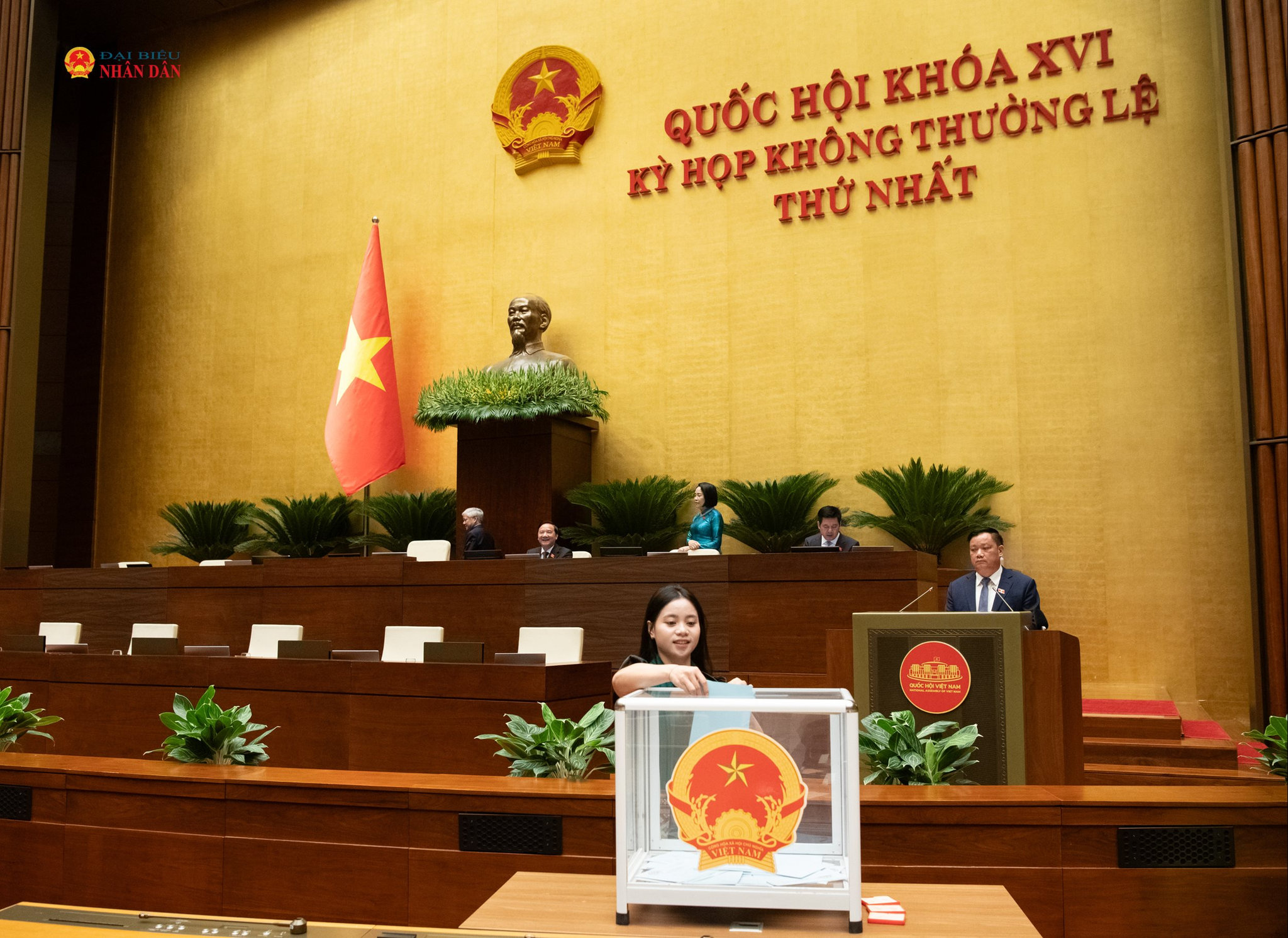 Các ĐBQH bỏ phiếu bầu chức danh Bộ trưởng Bộ Nội vụ.12