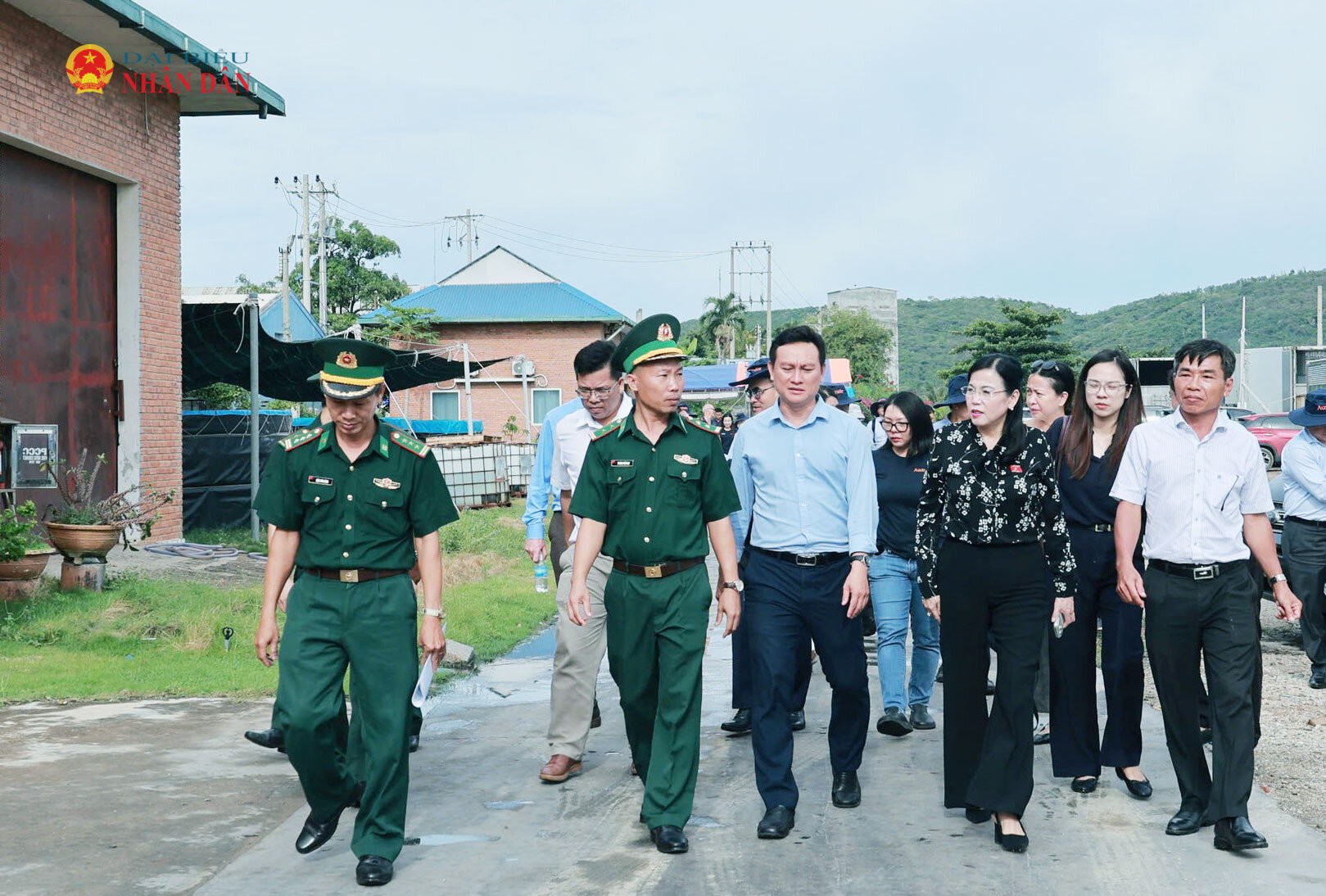 dbnd.1cdn.vn-2026-07-03-_ub2.jpg