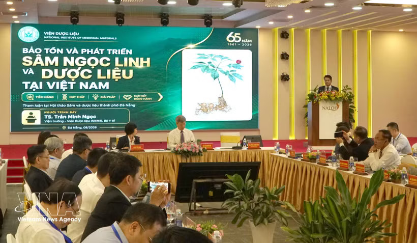Delegates attend the international scientific conference,