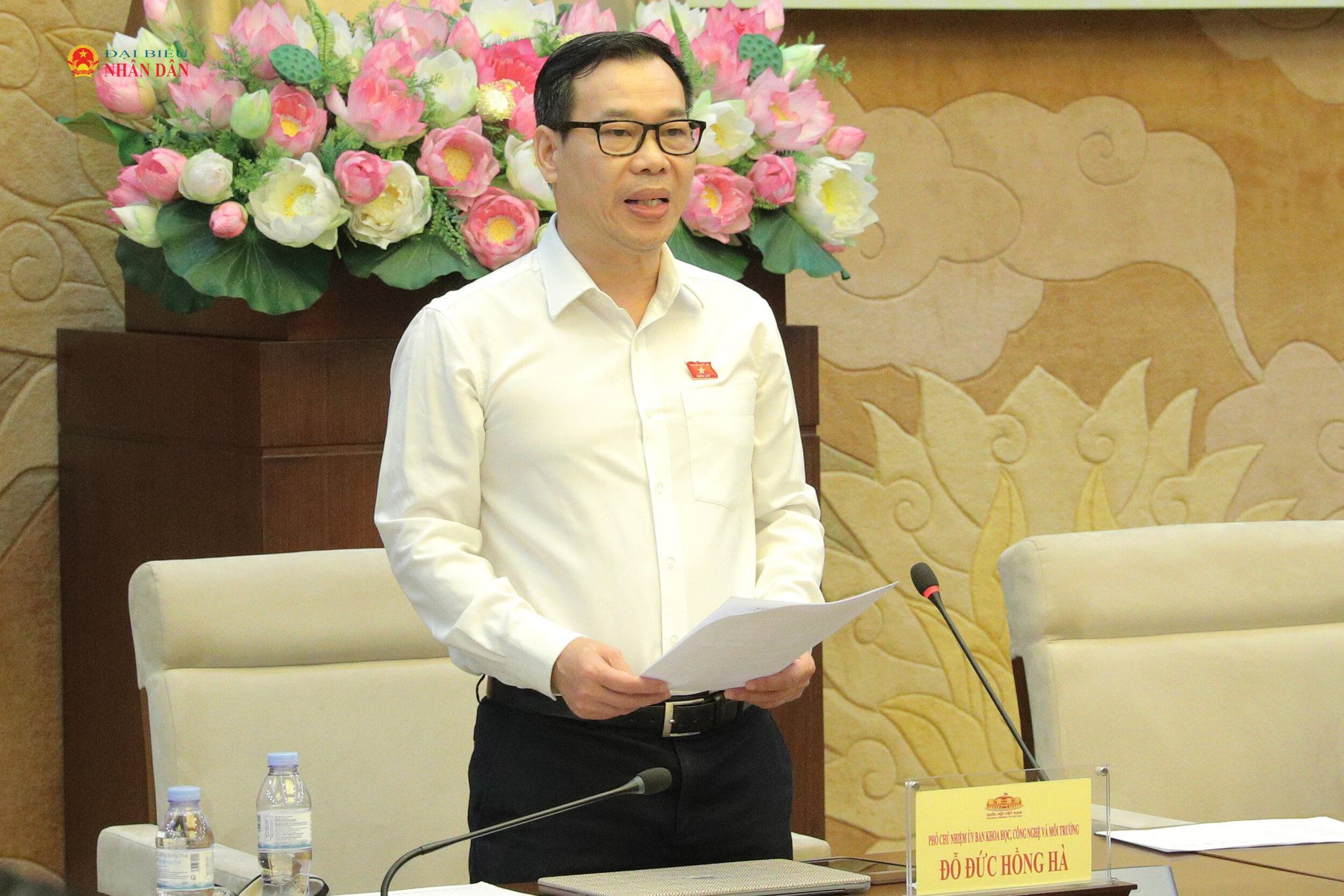 Phó Chủ nhiệm Ủy ban Khoa học, Công nghệ và Môi trường Đỗ Đức Hồng Hà