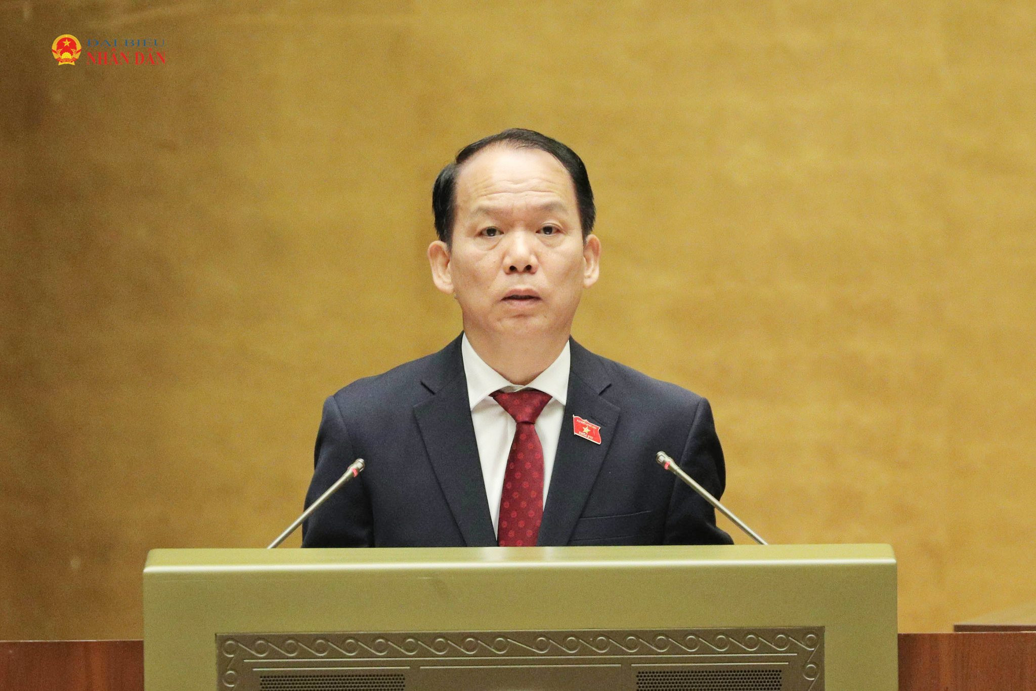 thanhtung.jpg