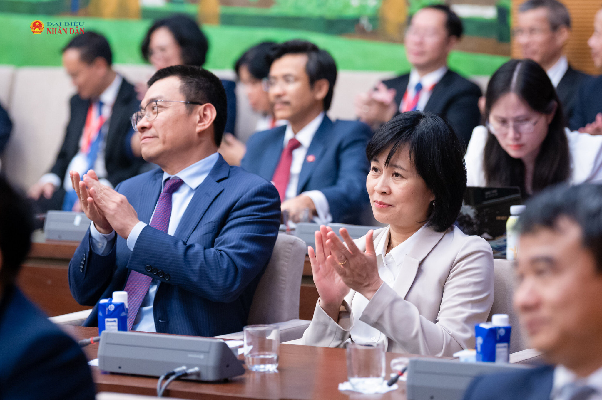 Đại sứ, Trưởng cơ quan đại diện Việt Nam ở nước ngoài