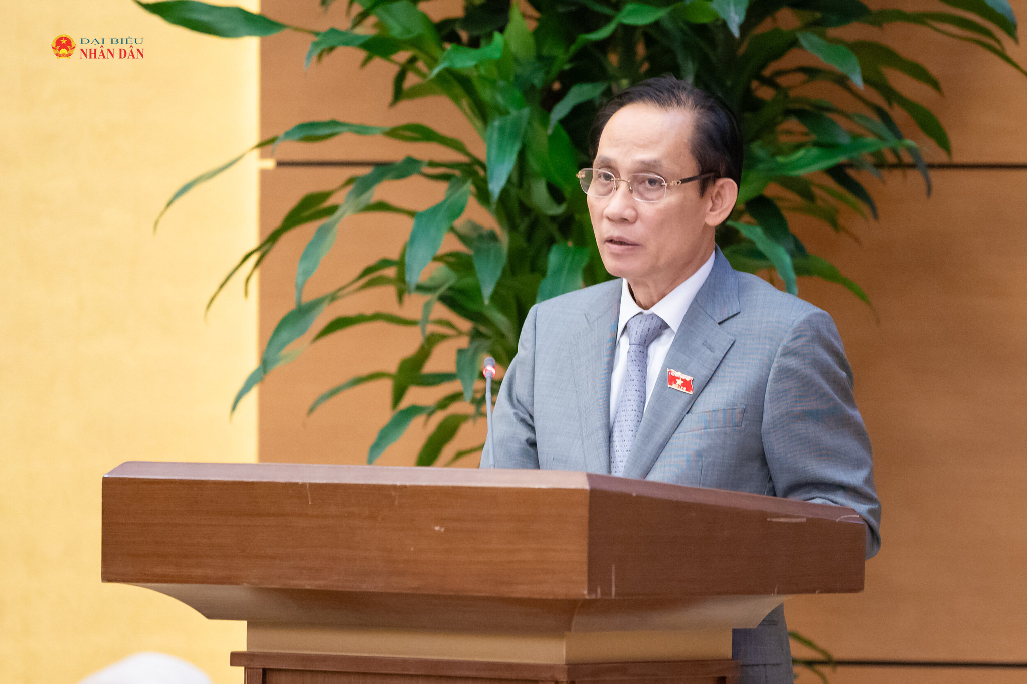 Bộ trưởng Bộ Ngoại giao Lê Hoài Trung phát biểu