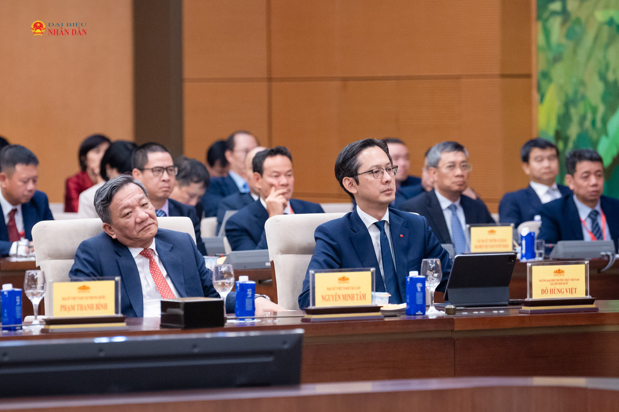Đại sứ, Trưởng cơ quan đại diện Việt Nam ở nước ngoài
