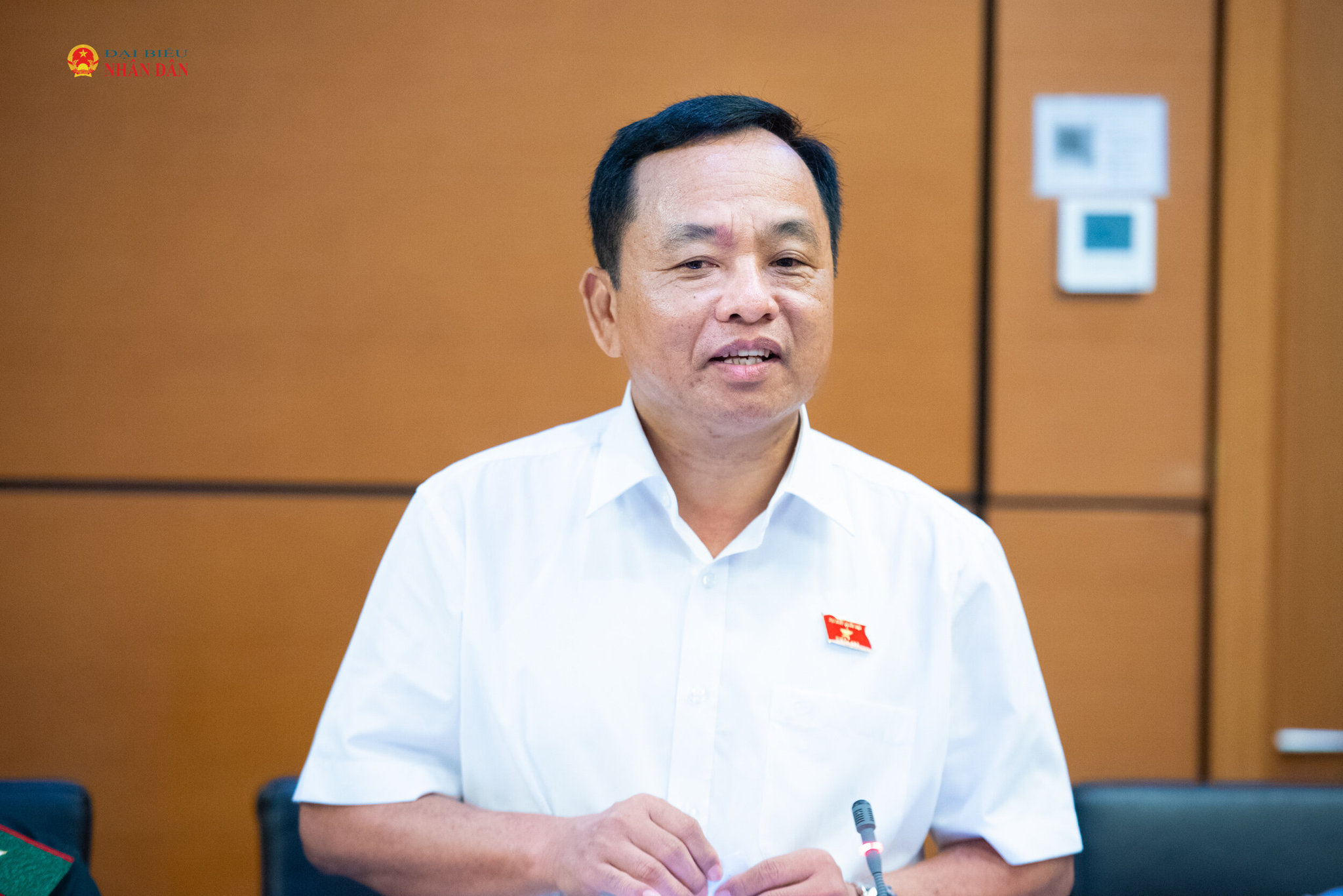 ĐBQH Nguyễn Ngọc Hà (Quảng Trị) phát biểu (2)