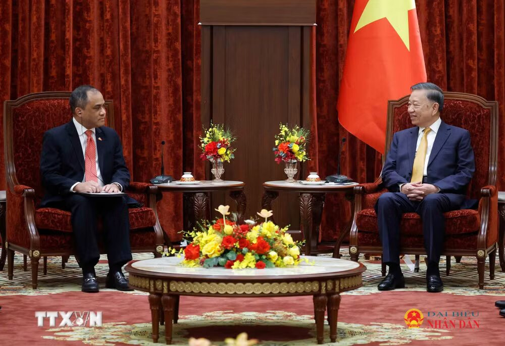 tong-bi-thu-chu-tich-nuoc-tiep-dai-su-dai-bien-cac-nuoc-asean-2.avif.jpeg