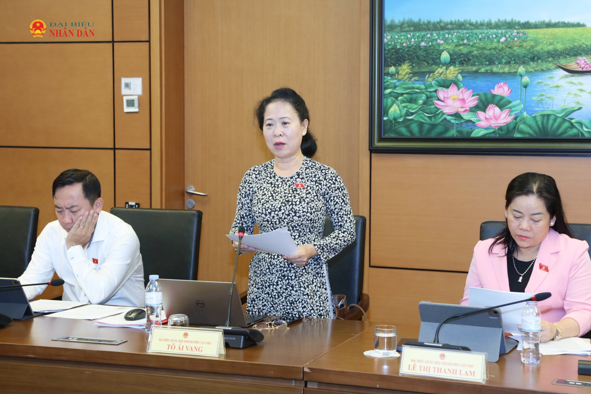 ĐBQH Tô Ái Vang (Cần Thơ) phát biểu 