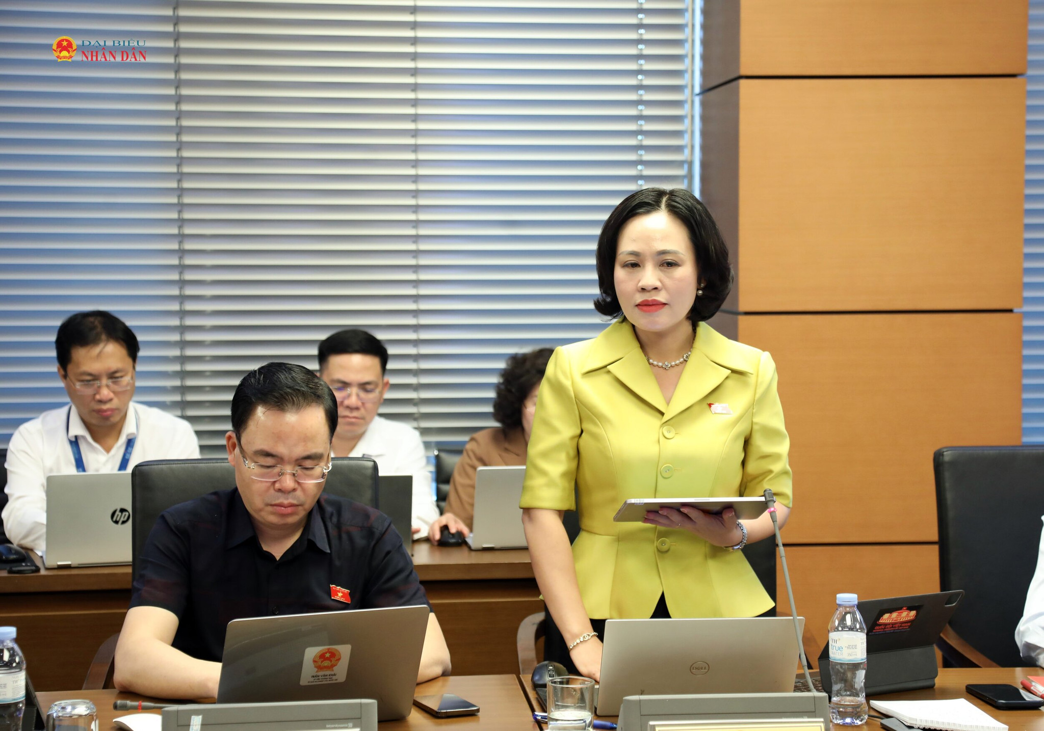 Đại biểu Trần Thị Hồng Thanh (Ninh Bình) phát biểu tại Tổ 10