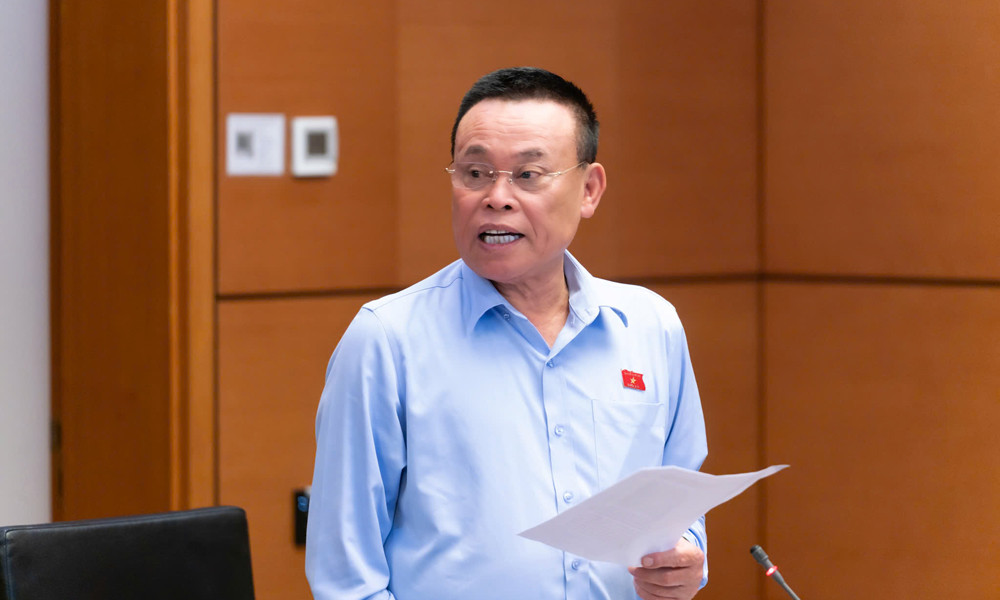 dai-bieu-nguyen-nhu-so-phat-bieu-tai-phien-thao-luan-to.jpg