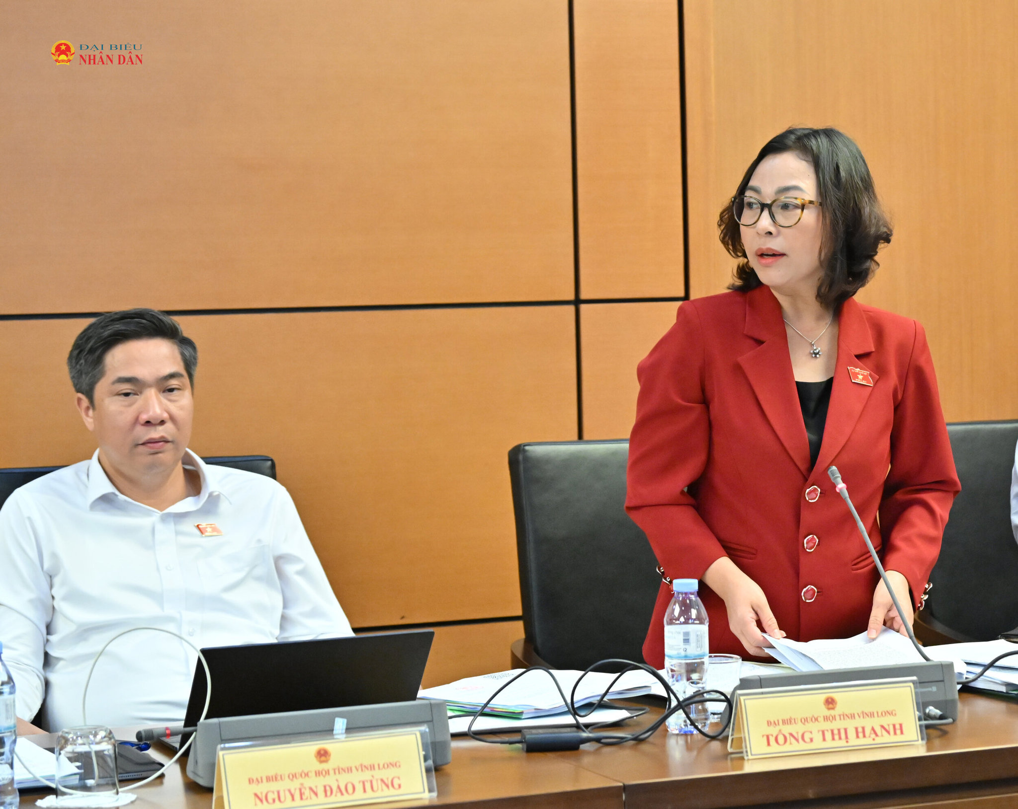 ĐBQH Tống Thị Hạnh (Vĩnh Long)