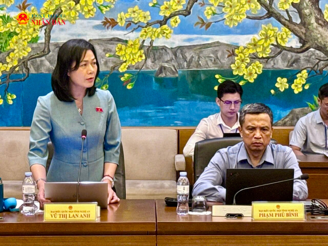 ĐBQH Vũ Thị Lan Anh (Nghệ An) phát biểu.
