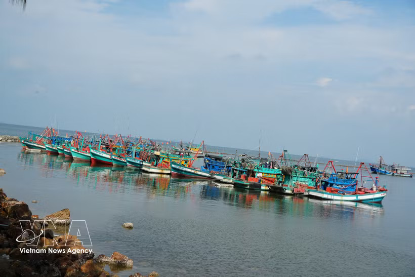 Fishing vessels owned by local fishermen are anchored off the coast of Ha Tien, An Giang province. (Photo: VNA)