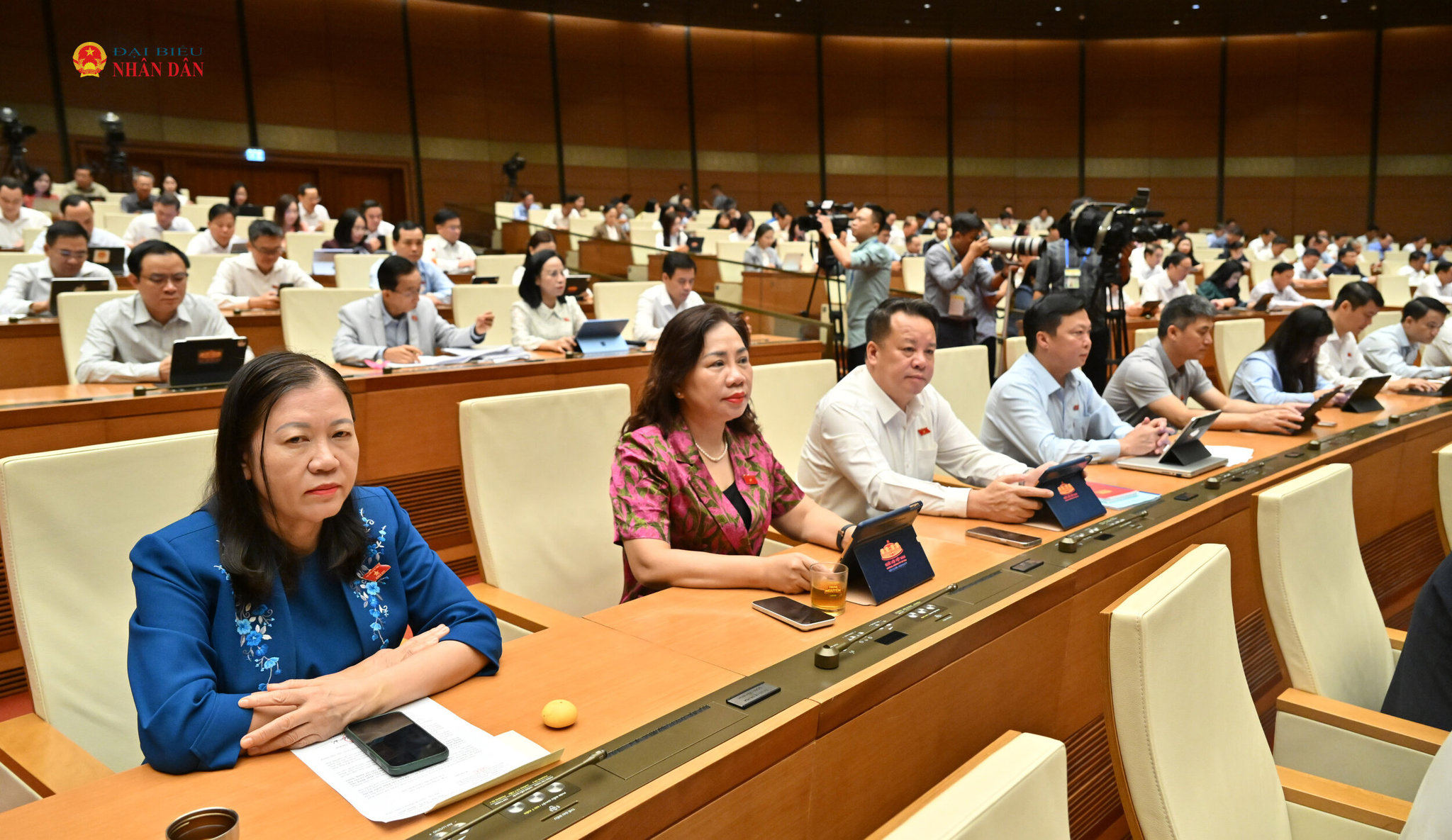 Các đại biểu tại phiên họpVQK_5218