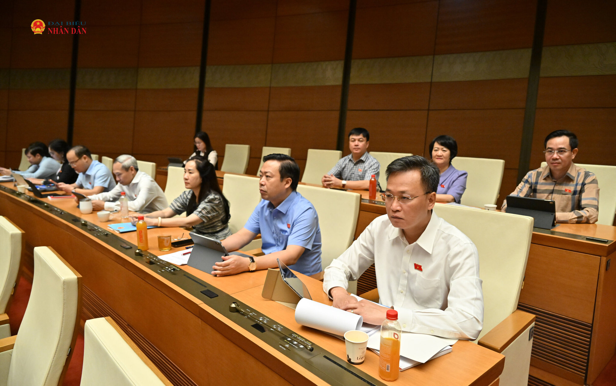 cac-dai-bieu-tai-phien-hopvqk_5413.jpg