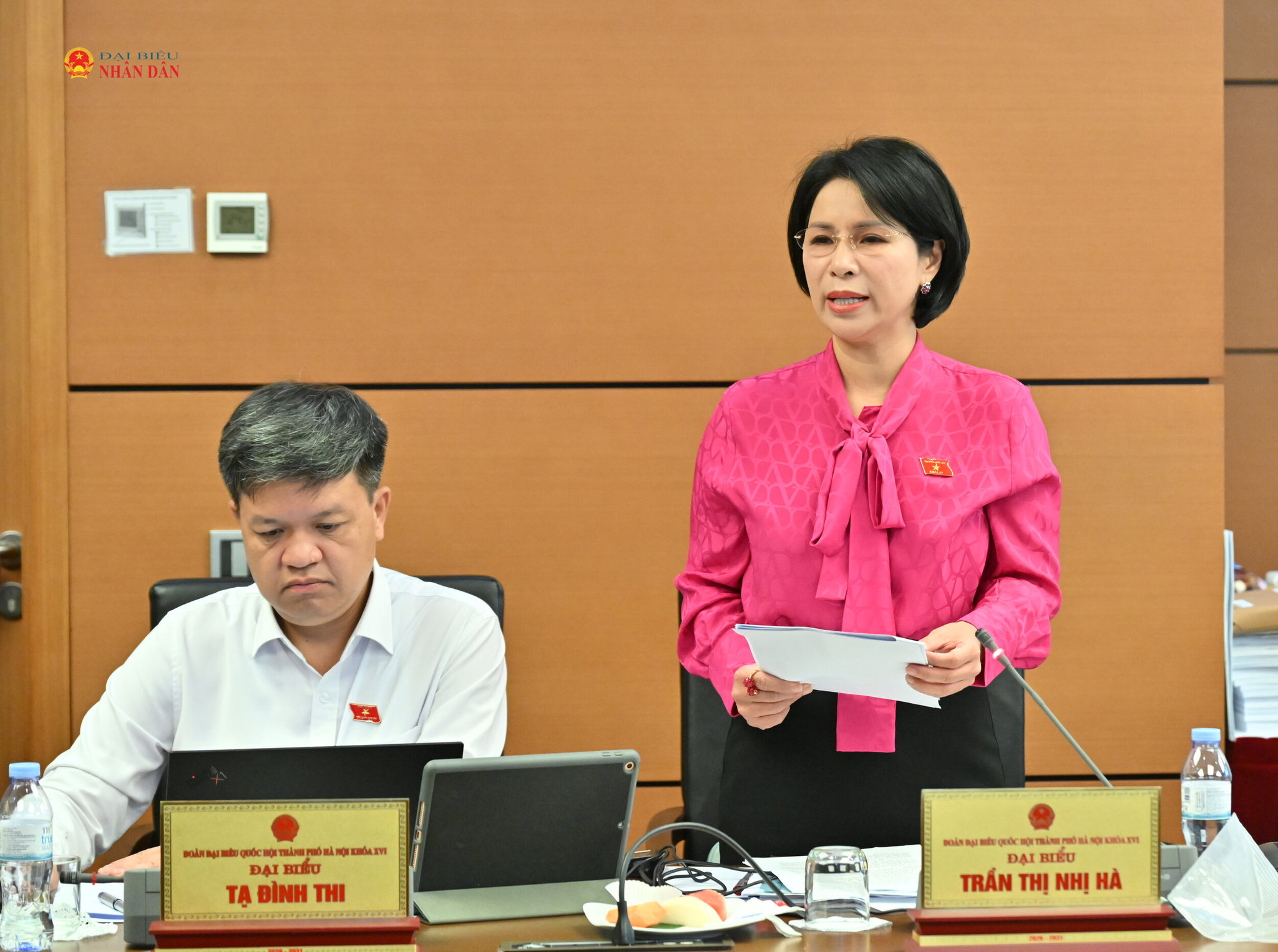 ĐBQH Trần Thị Nhị Hà (Hà Nội)