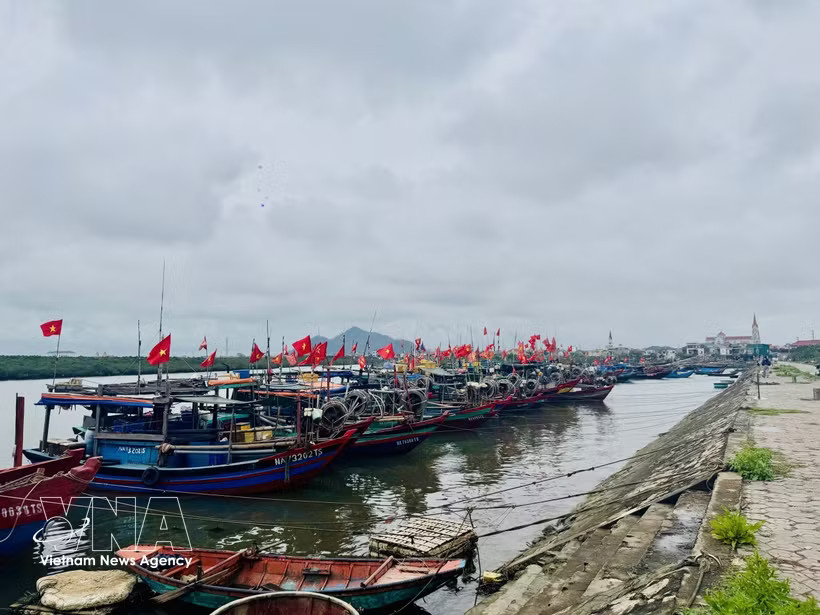 Community-led fisheries groups have become frontline defenders of coastal fisheries. (Photo: VNA)