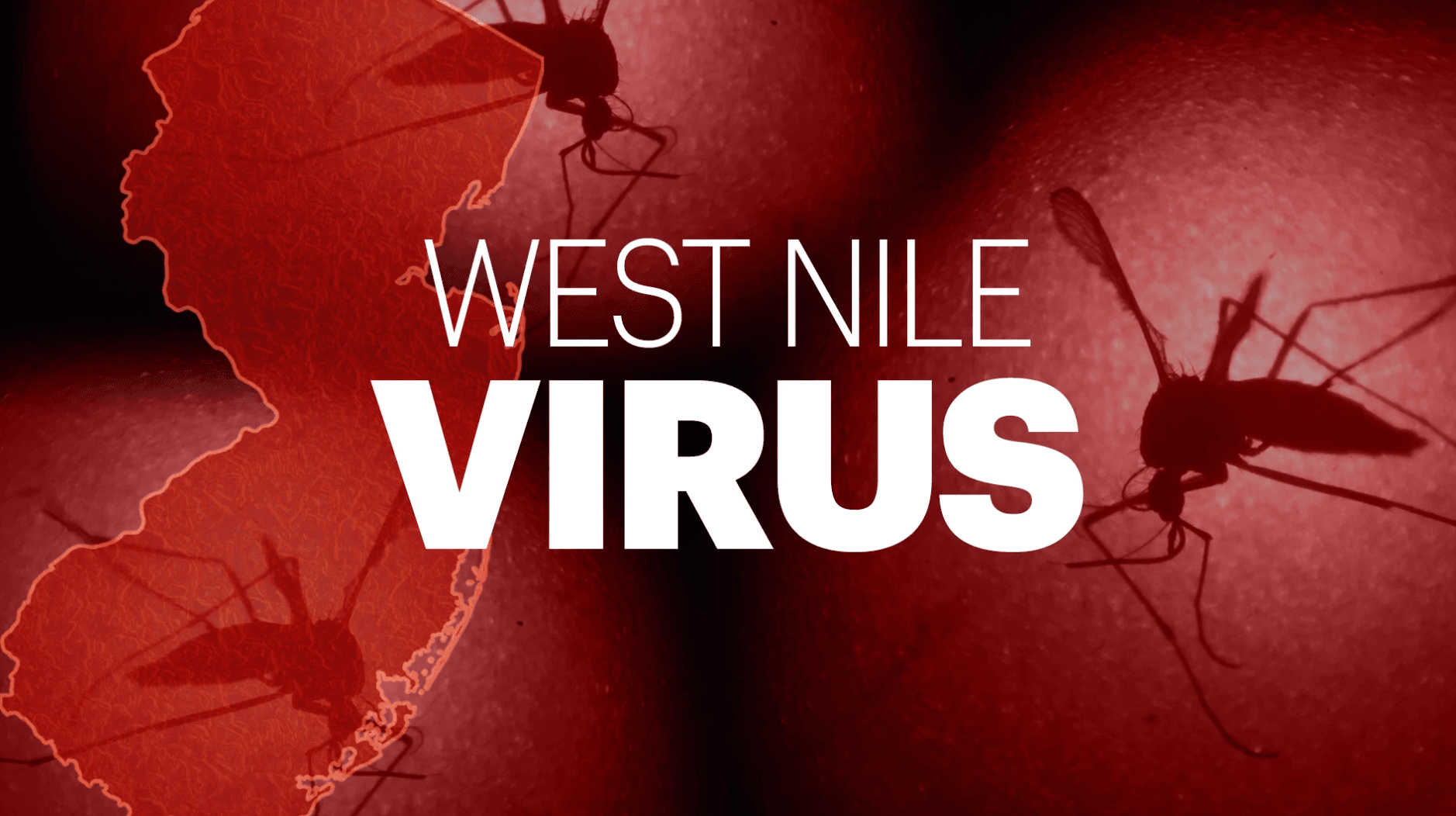 virus west nile 2