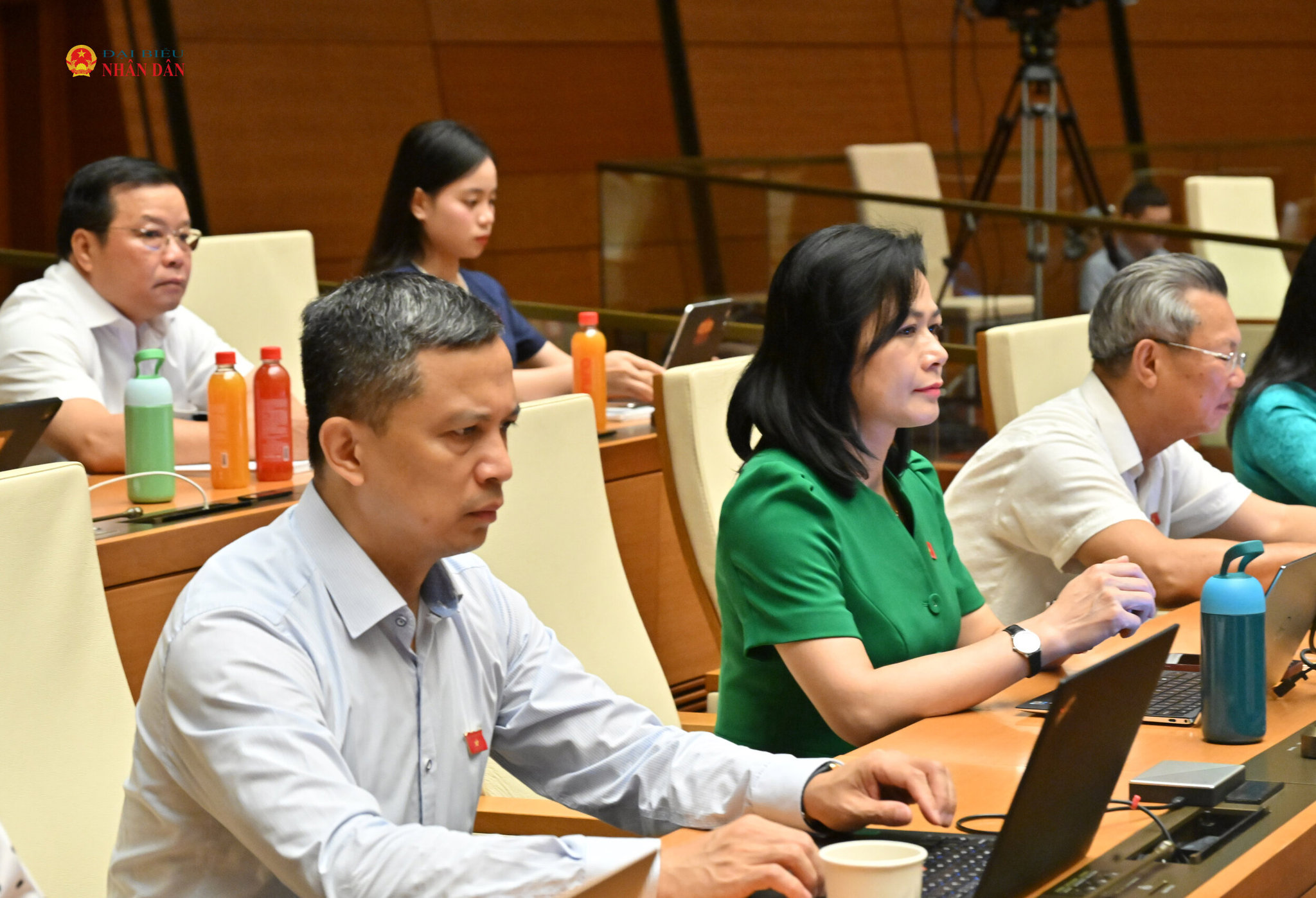 Các đại biểu tại phiên họp