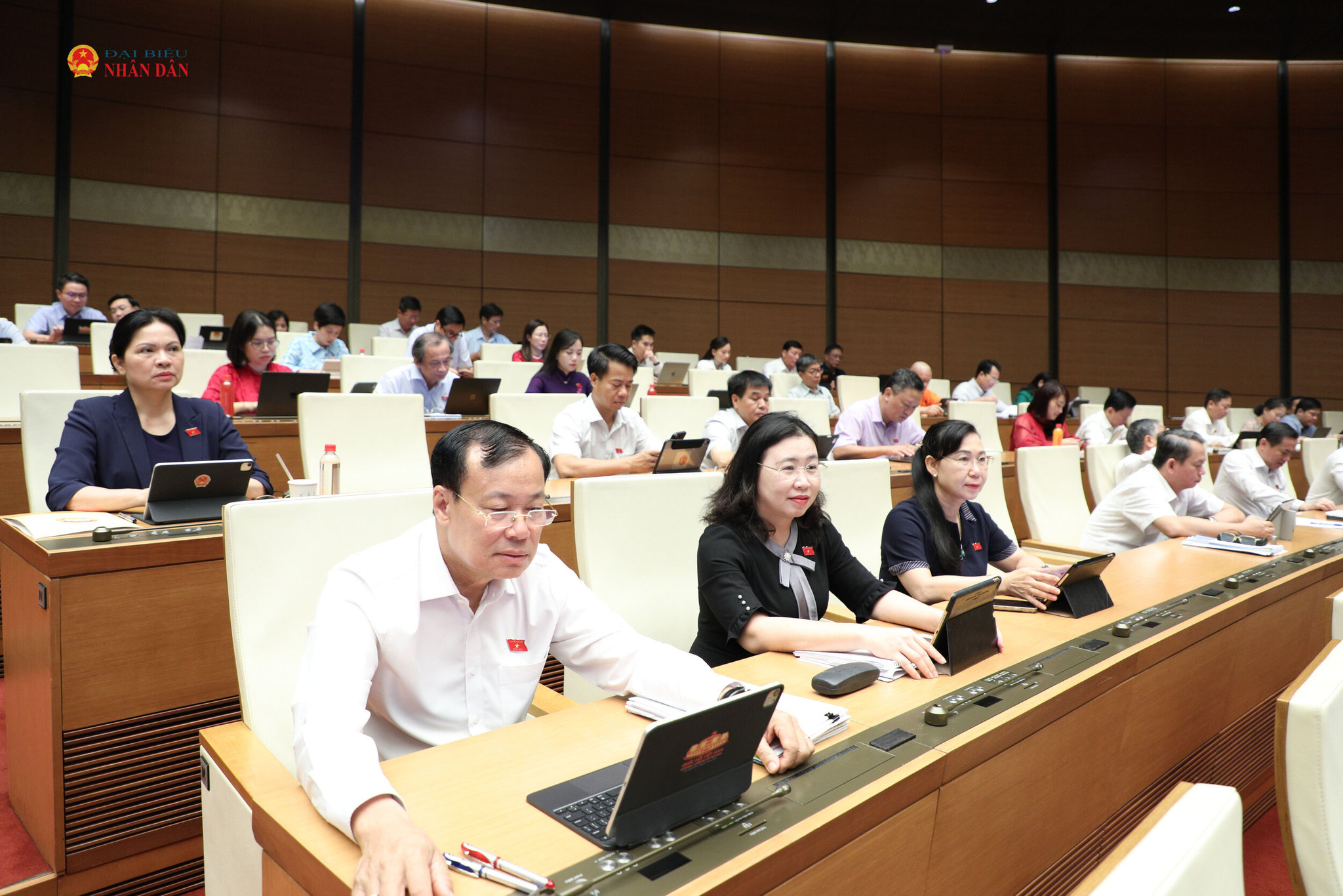 259a0983(1).jpg