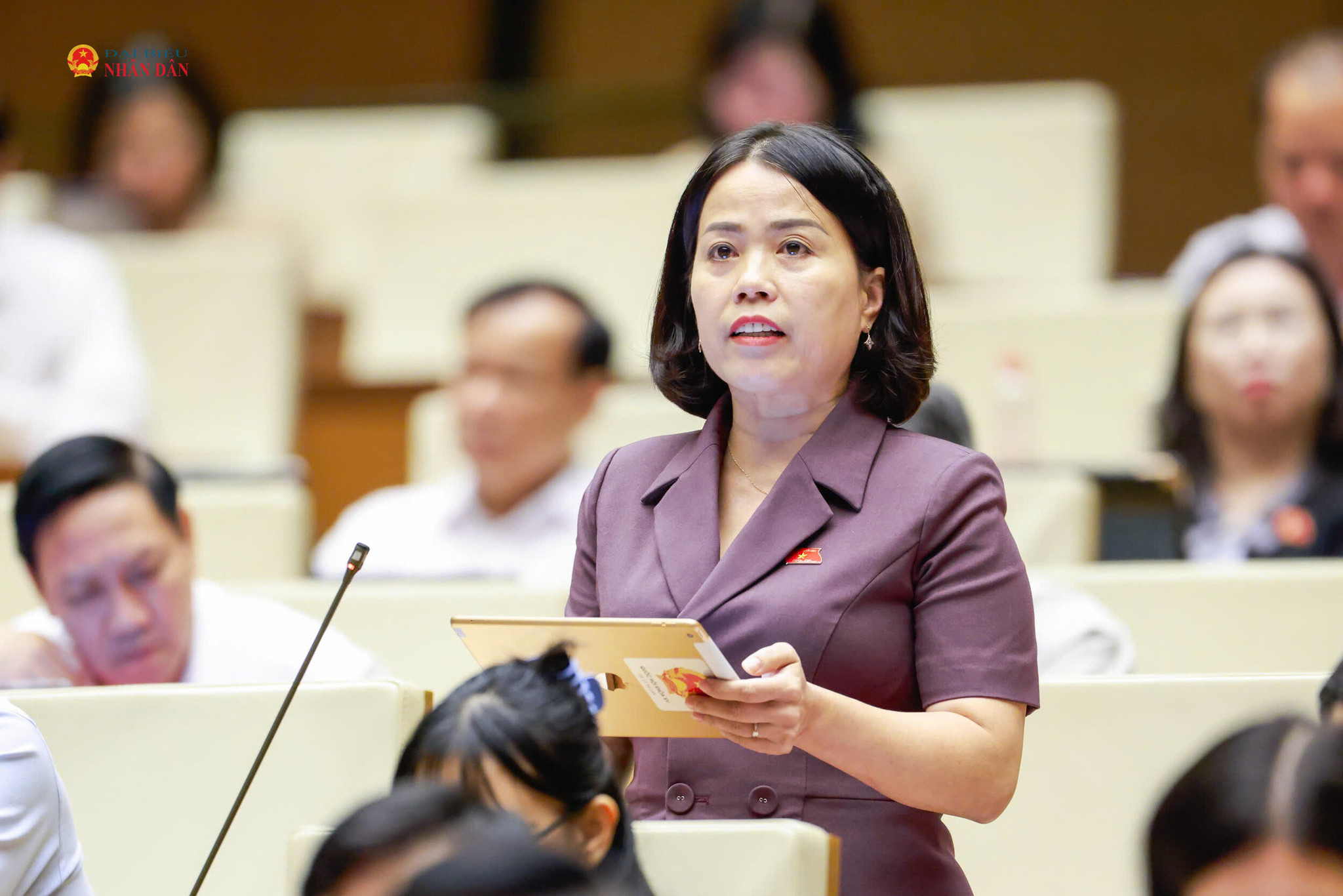 ĐBQH Lý Thị Lan (Tuyên Quang)