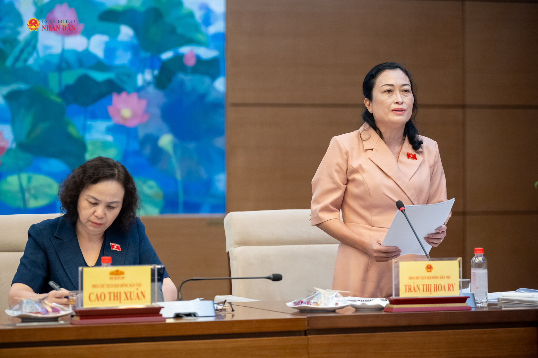 Phó Chủ tịch Hội đồng Dân tộc Trần Thị Hoa Ry phát biểu