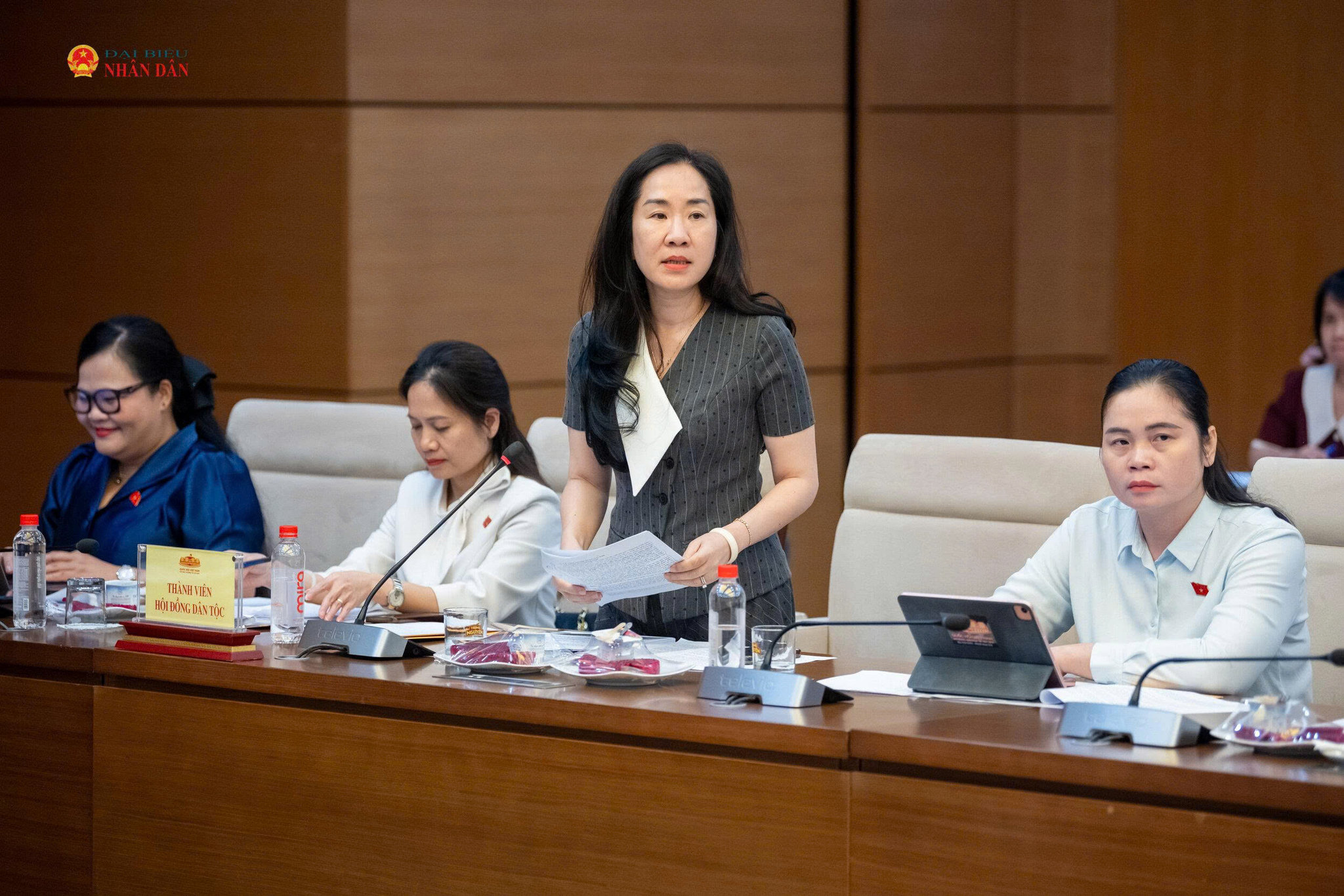 Phó Chủ nhiệm Ủy ban Kinh tế và Tài chính Đoàn Thị Thanh Mai phát biểu