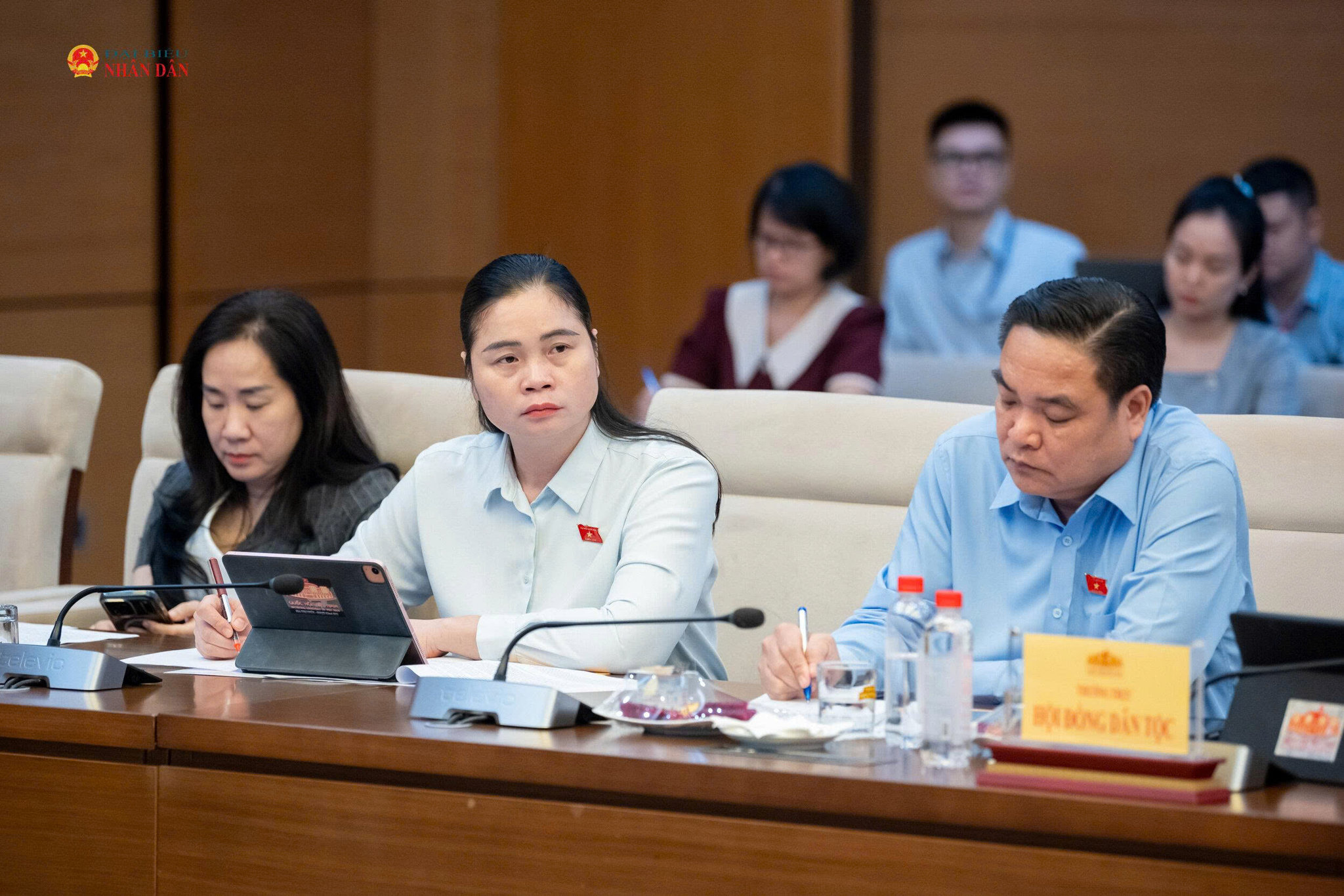 Các đại biểu tham dự Phiên họp