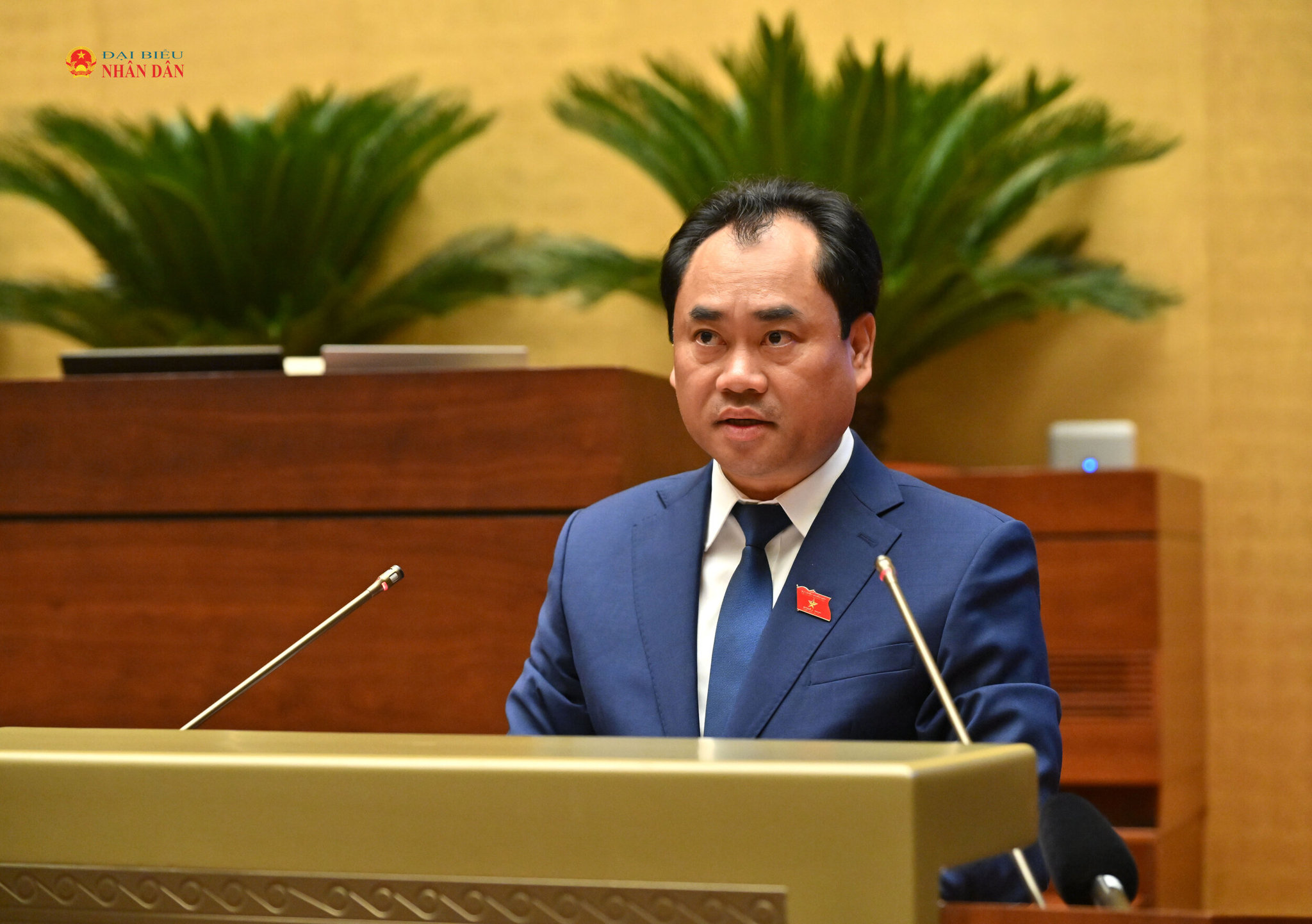 Bộ trưởng Bộ Nông nghiệp và Môi trường Trịnh Việt Hùng giải trình, làm rõ một số vấn đề ĐBQH quan tâm
