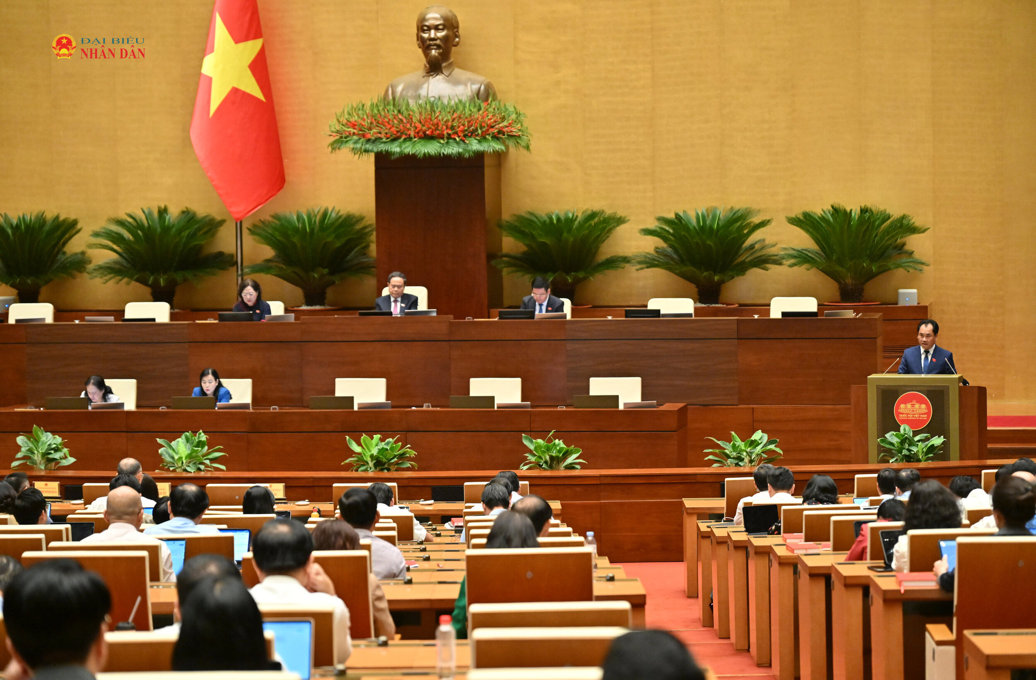 Bộ trưởng Bộ Nông nghiệp và Môi trường Trịnh Việt Hùng giải trình, làm rõ một số vấn đề ĐBQH quan tâm