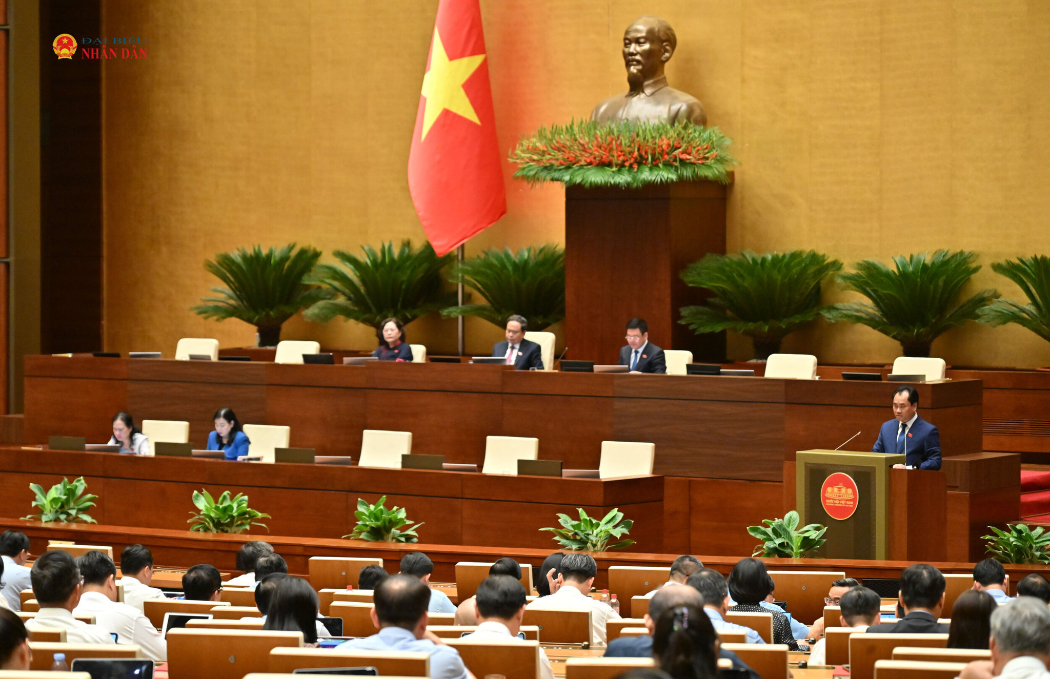 Bộ trưởng Bộ Nông nghiệp và Môi trường Trịnh Việt Hùng giải trình, làm rõ một số vấn đề ĐBQH quan tâm