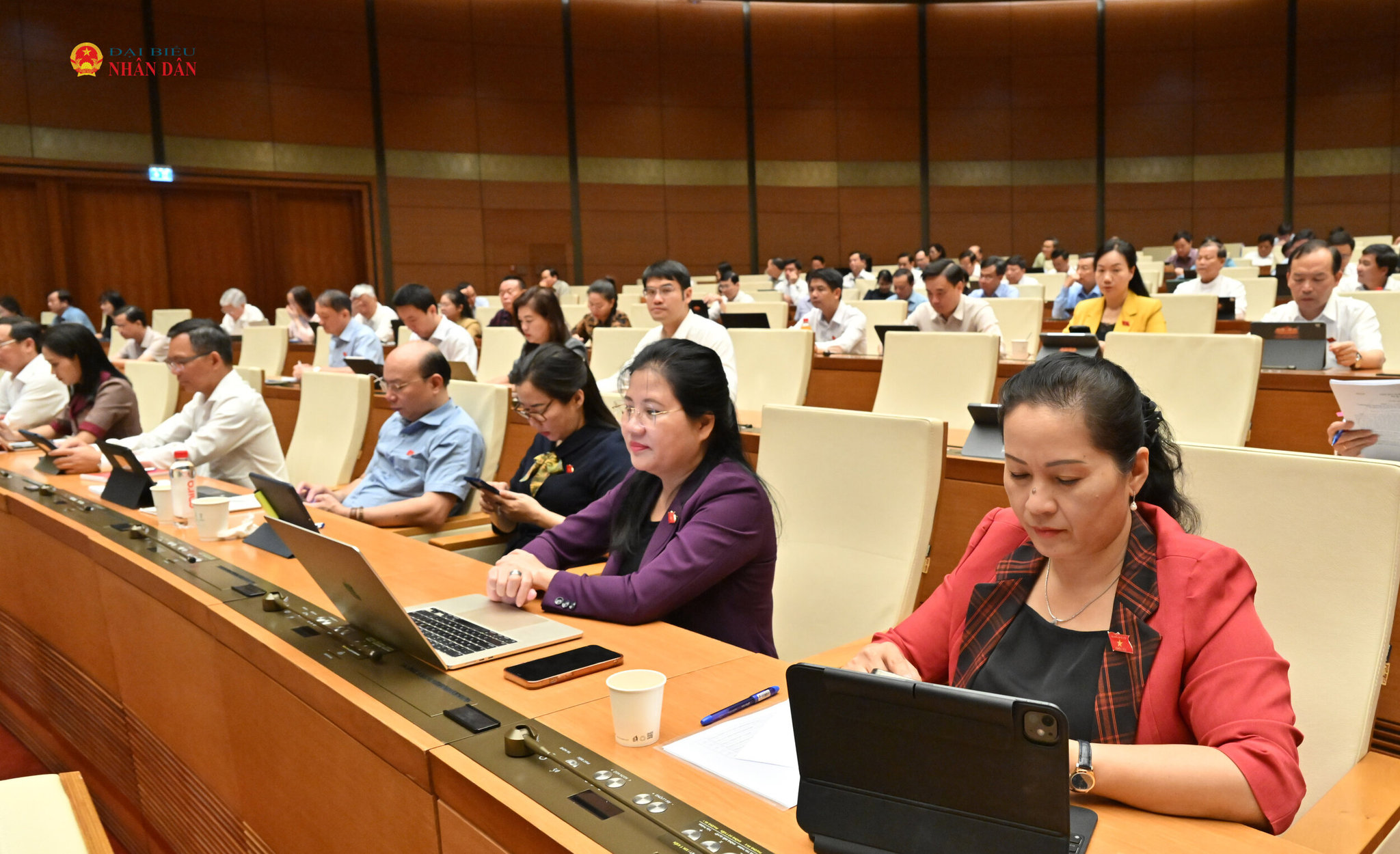 Các đại biểu tại phiên họp
