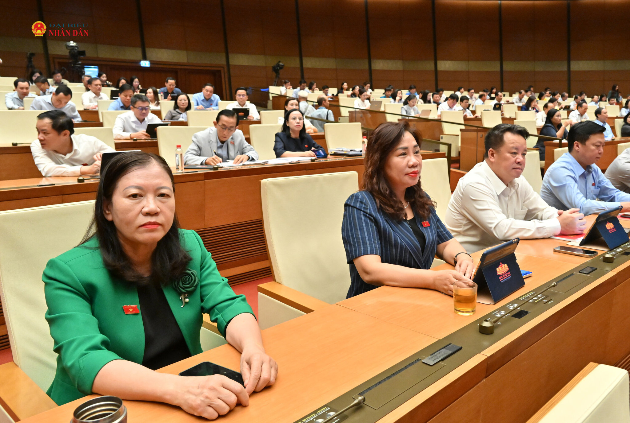 Các đại biểu tại phiên họp