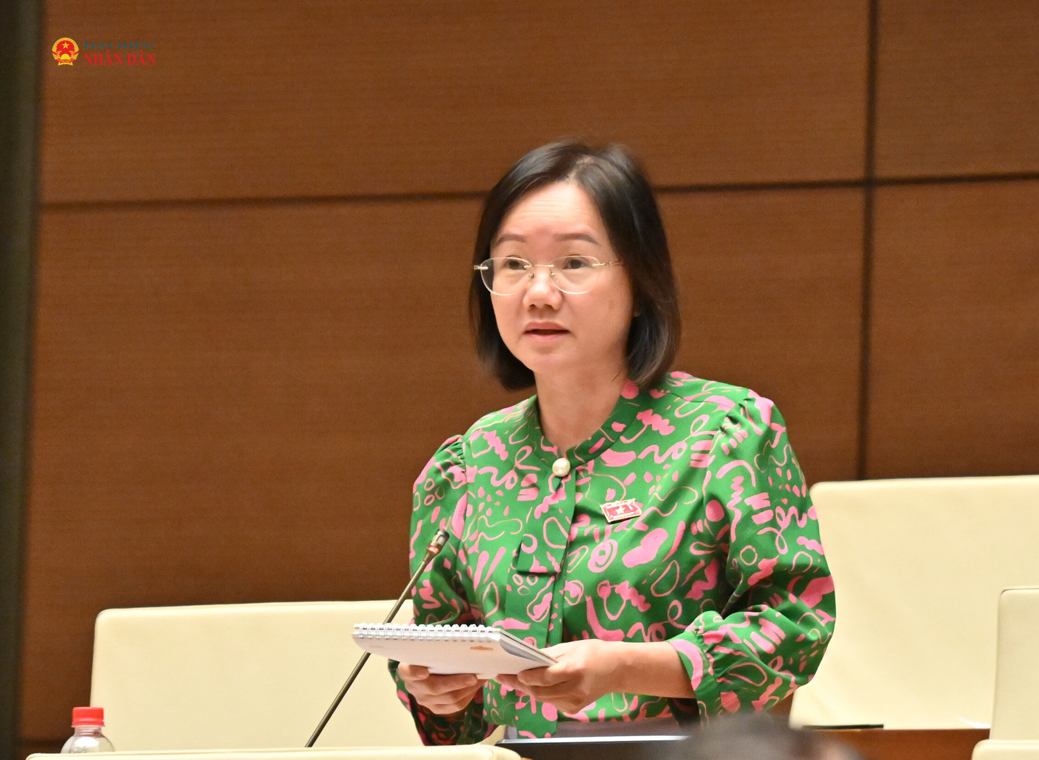 ĐBQH Thái Thị An Chung (Nghệ An)