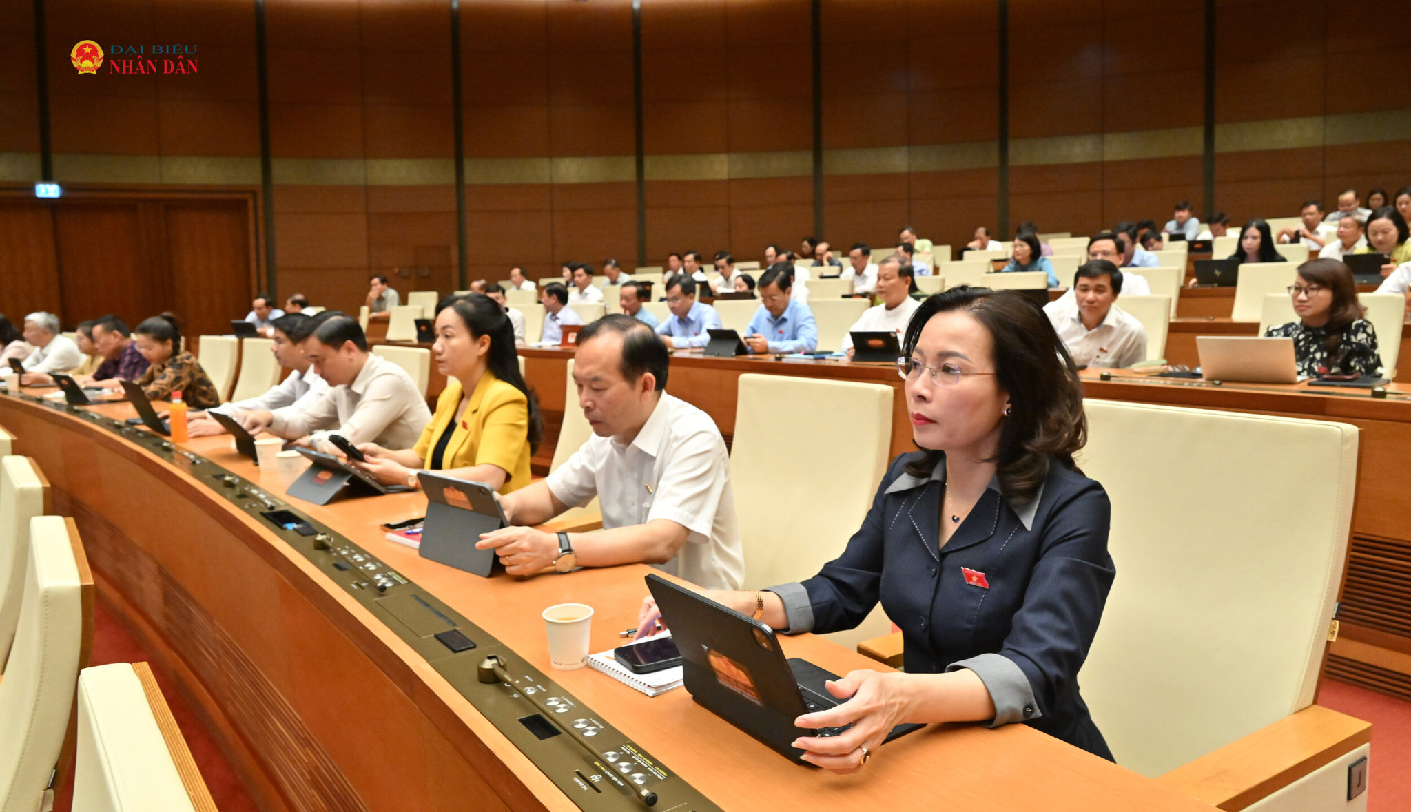 doan-dbqh-bac-ninh-tai-phien-hopvqk_8857.jpg