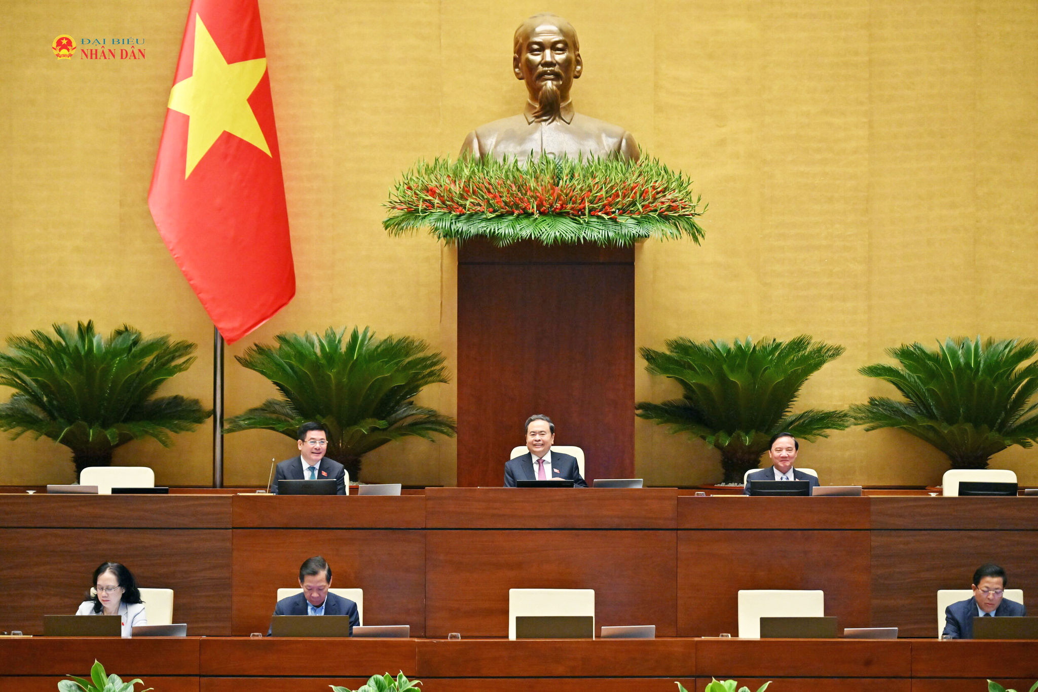 qh001.jpg