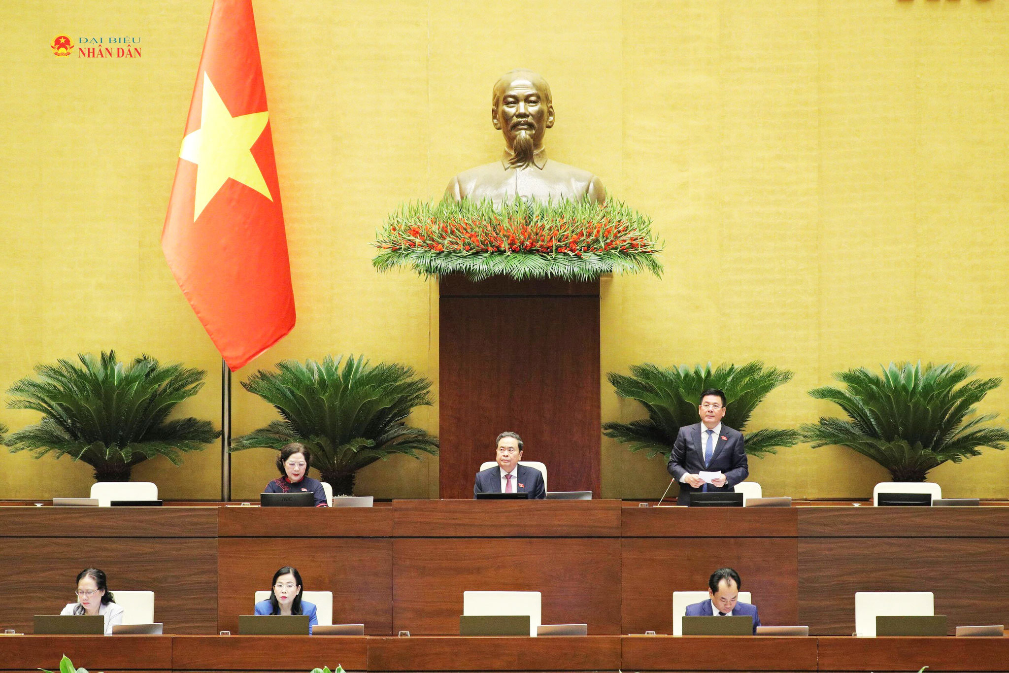 qh1.jpg