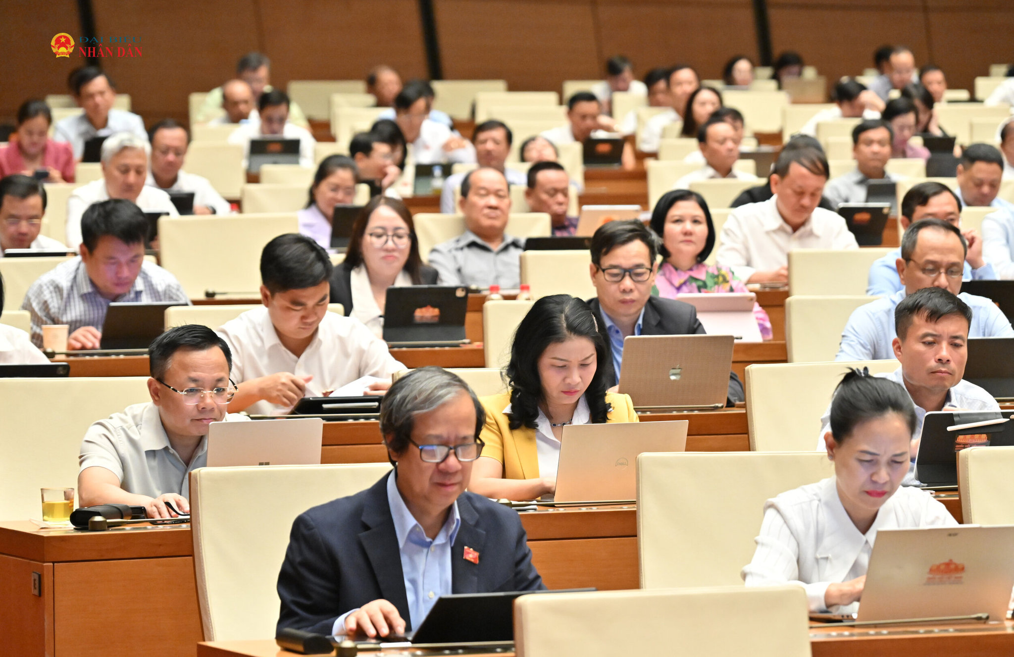 cac-dai-bieu-tai-phien-hopvqk_9705.jpg