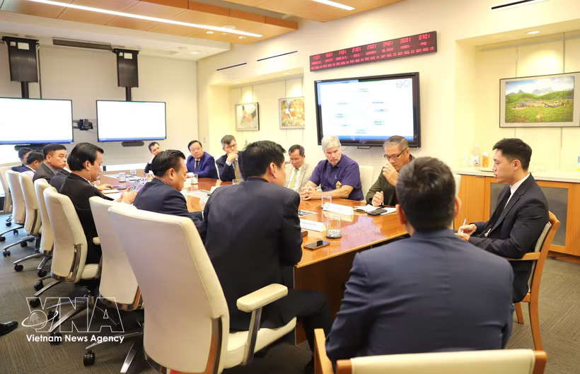 An overview of the working session (Photo: VNA)